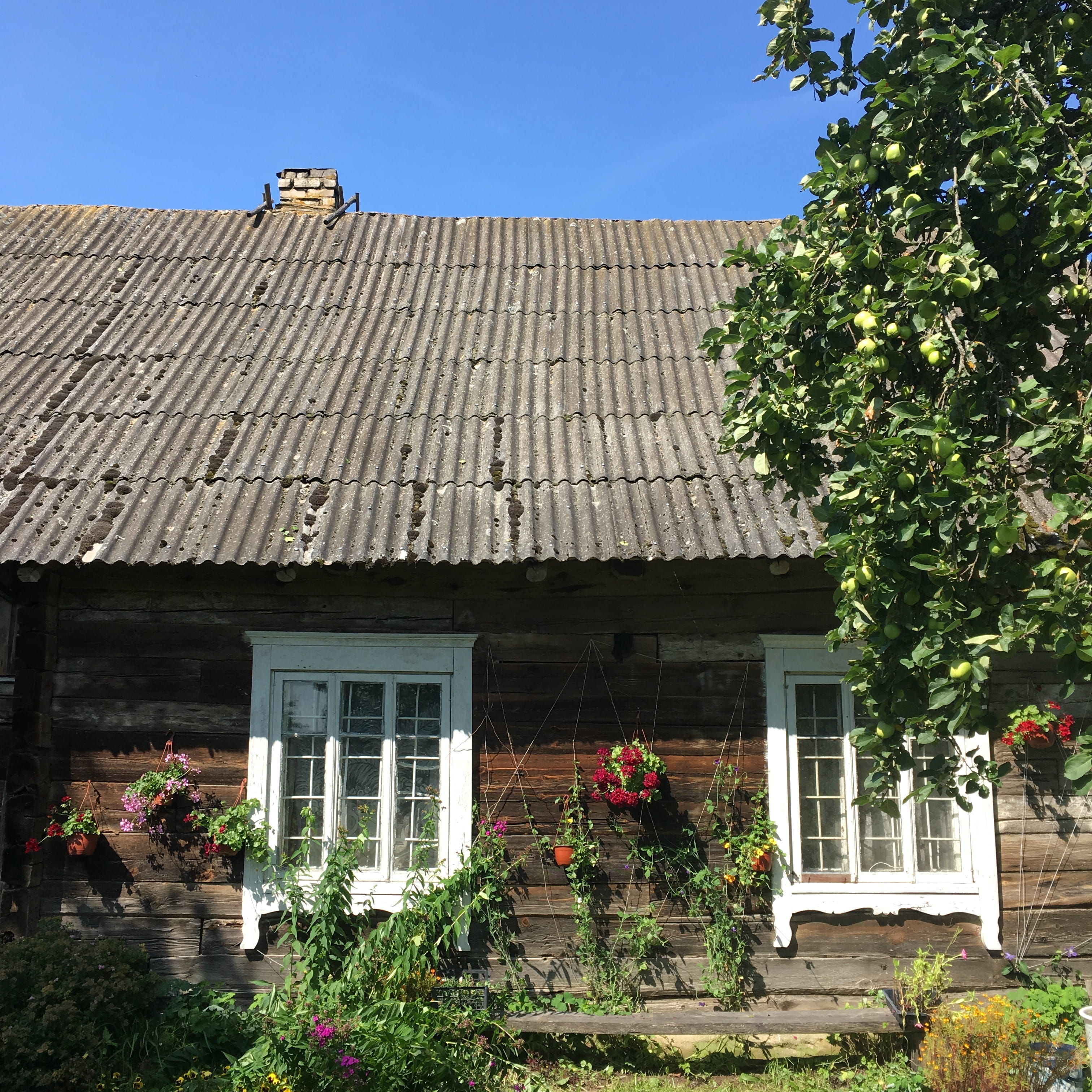architecture, growth, nature, flowering plant, roof, sunlight, sky, vacation, Rural, Countryside, Village, lithuanian, european, day, Old, 2K, europe, Phone HD Wallpaper