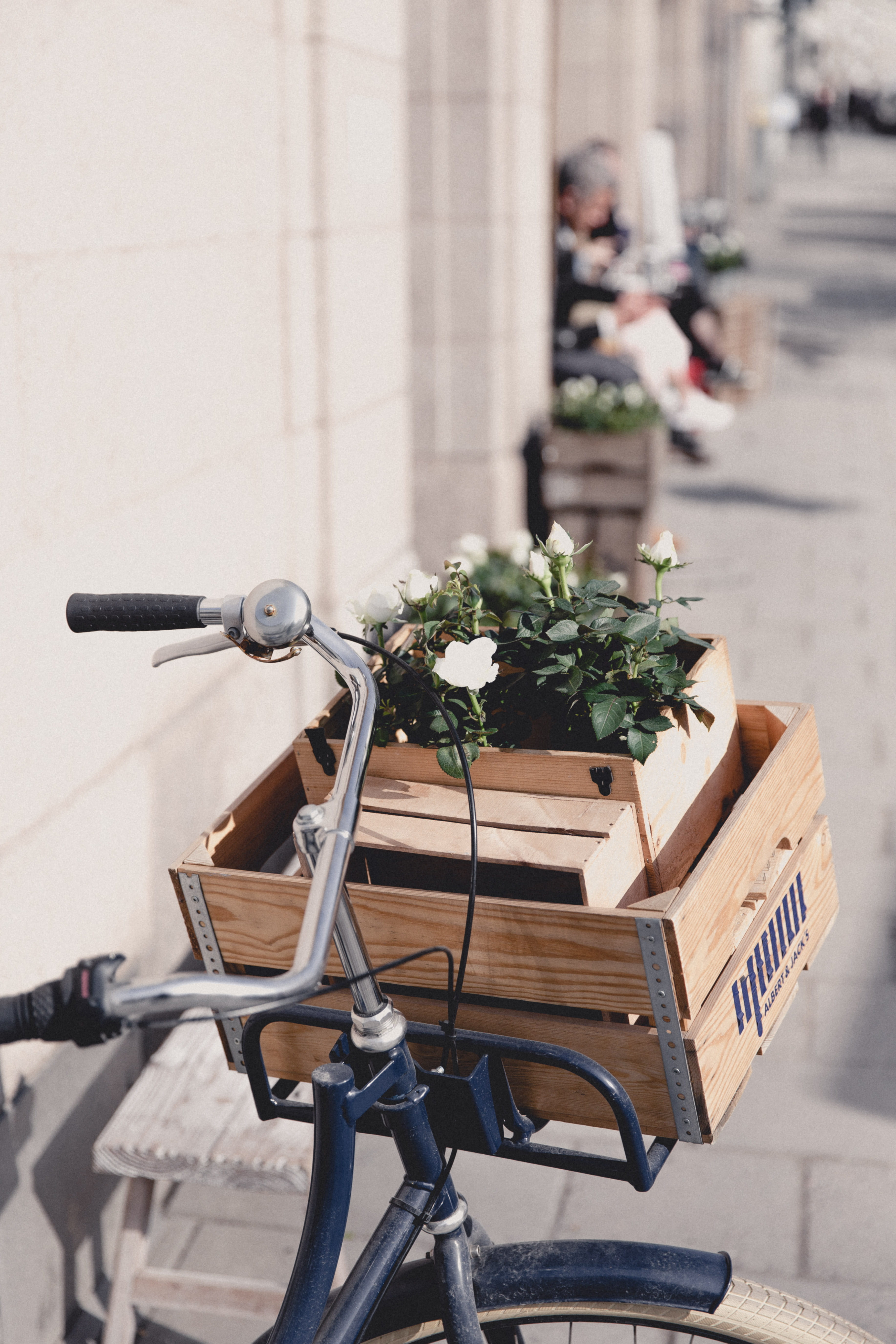5K, street, potted plant, bicycle basket, flower, leafed, nature, garden, white, box, day, bike, focus on foreground, outdoors, transportation, built structure, Phone HD Wallpaper