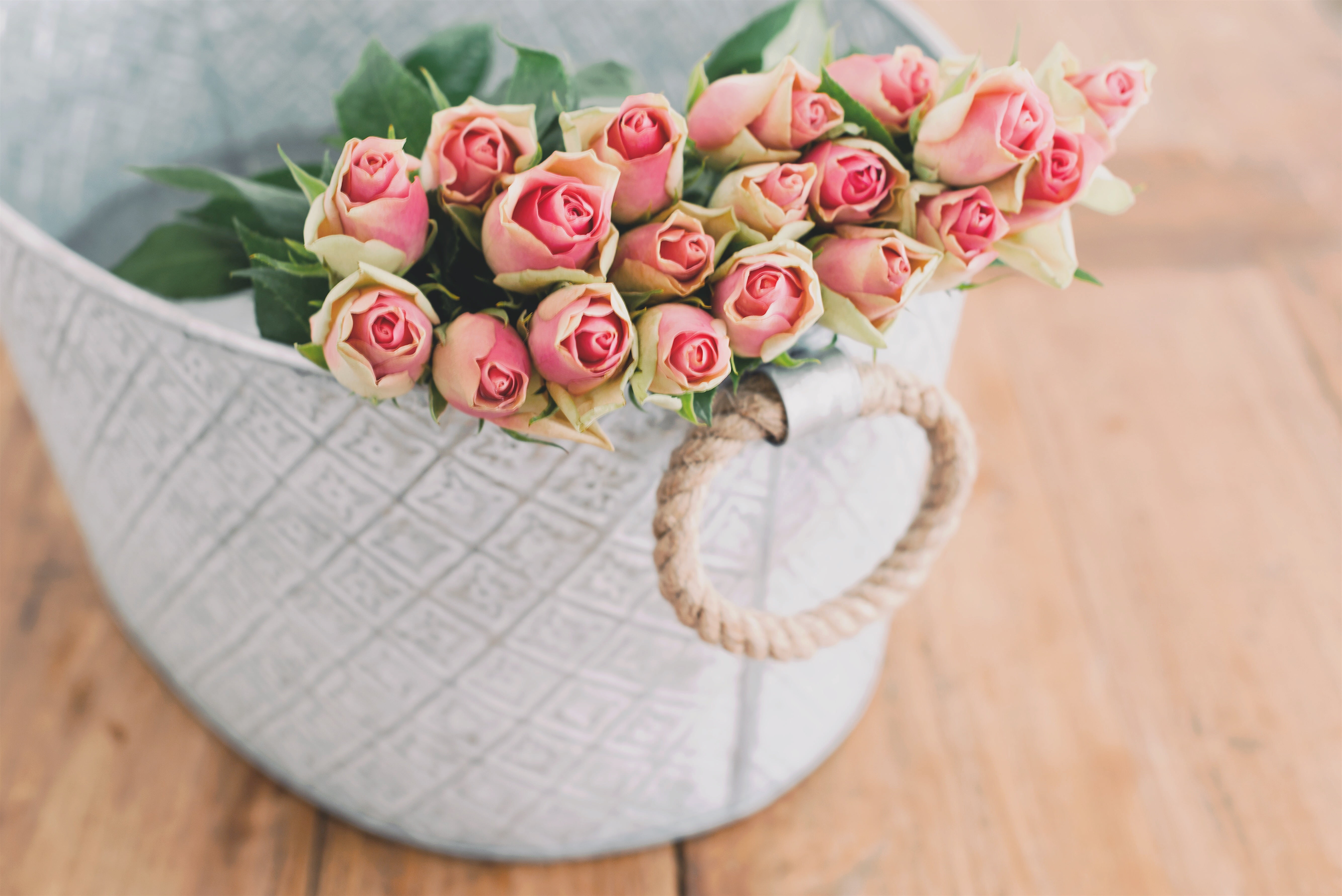 nature, close-up, beauty, surface, flowers, brown, wooden, outdoors, flowering plant, vulnerability, white, high angle view, 5K, pink color, basket, plant, HD Wallpaper