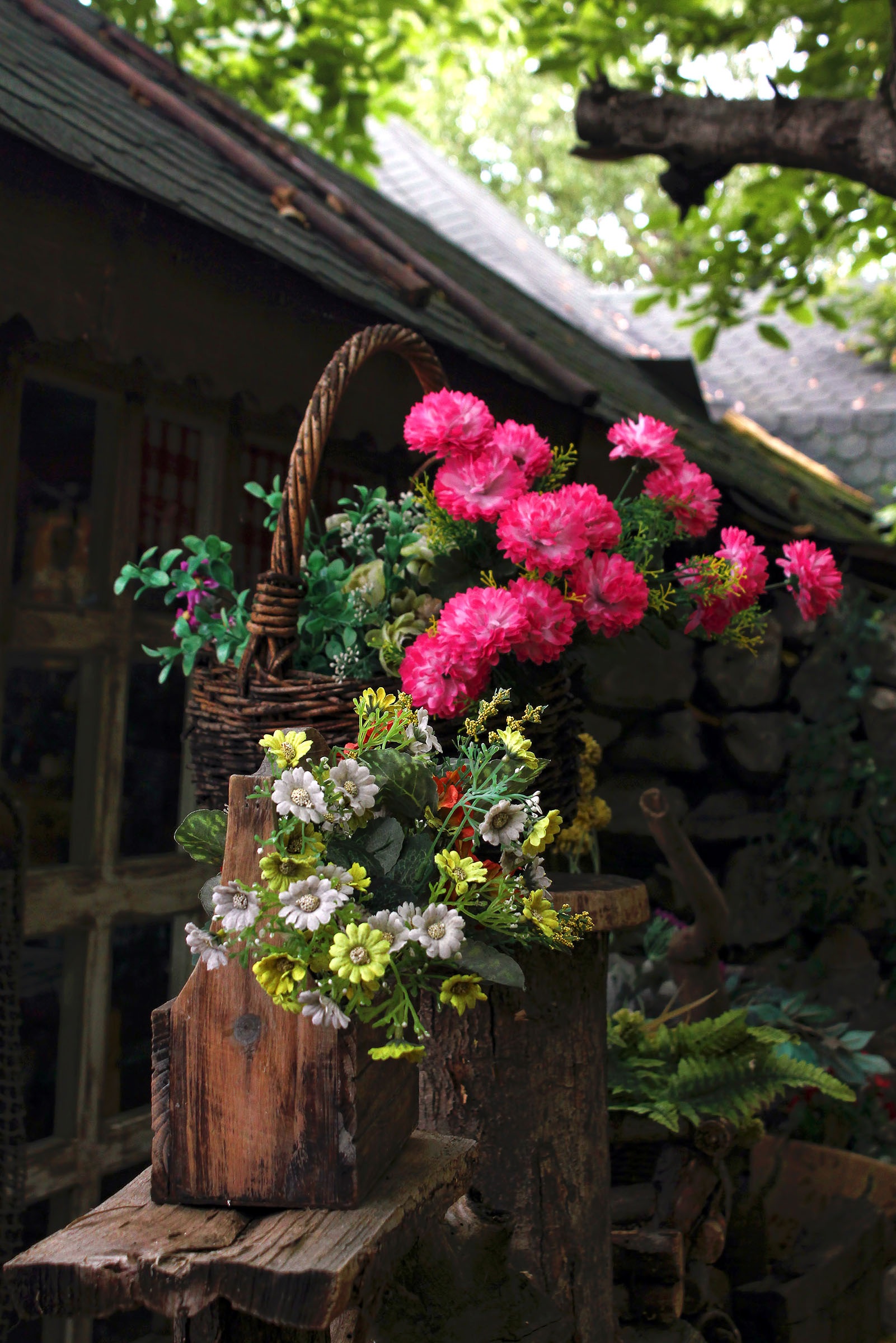 plant, freshness, wooden, fragility, flower, flower head, floral, flower arrangement, growth, pink color, flower pot, close-up, building exterior, day, Phone HD Wallpaper