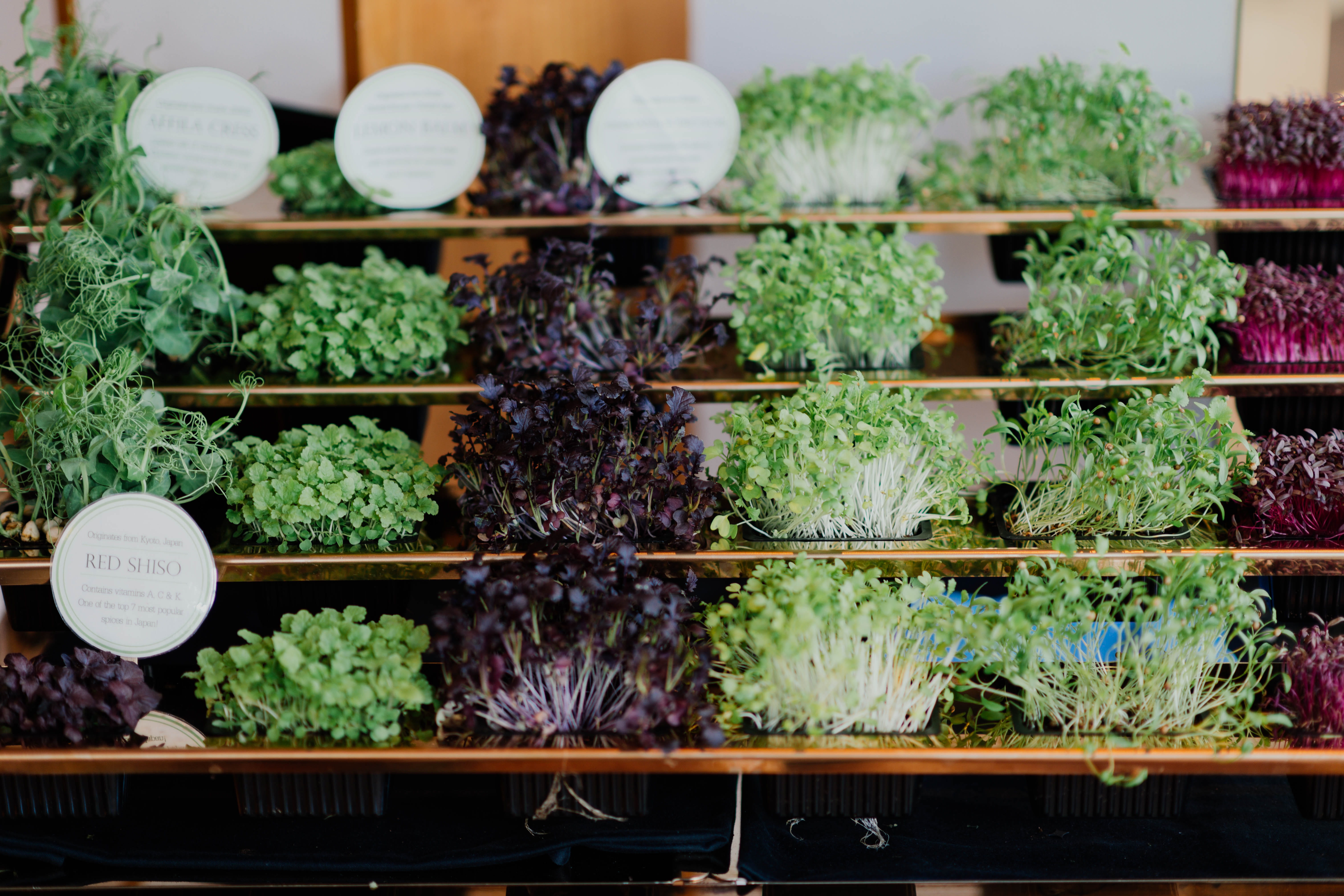 retail display, no people, indoors, wellbeing, vegetable, business, kale, jar, vase, large group of objects, market, cabbage, parsley, cauliflower, pottery, HD Wallpaper