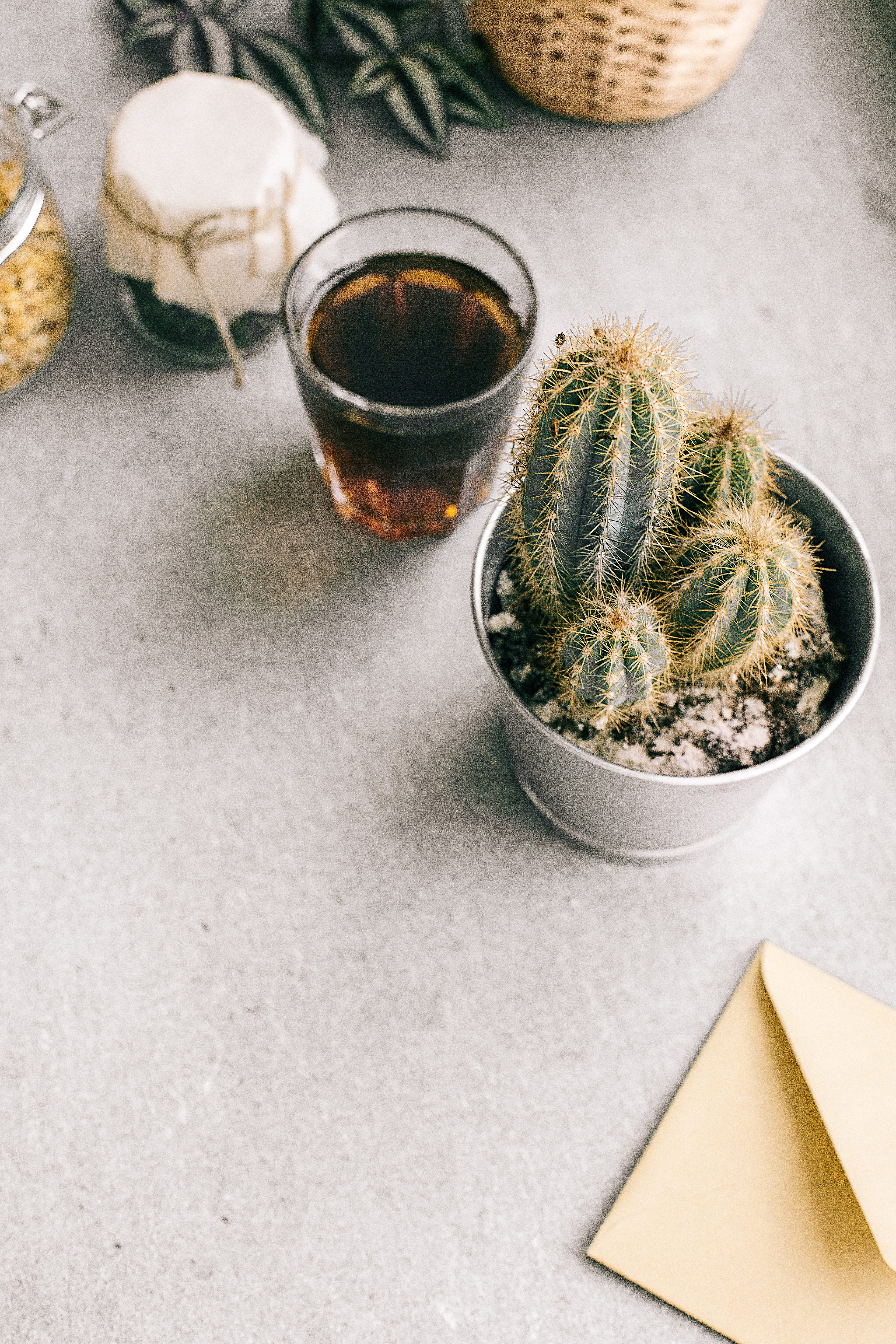 food and drink, potted plant, freshness, succulent plant, close-up, focus on foreground, refreshment, table, herbal, grey, beside, envelope, drink, no people, Phone HD Wallpaper