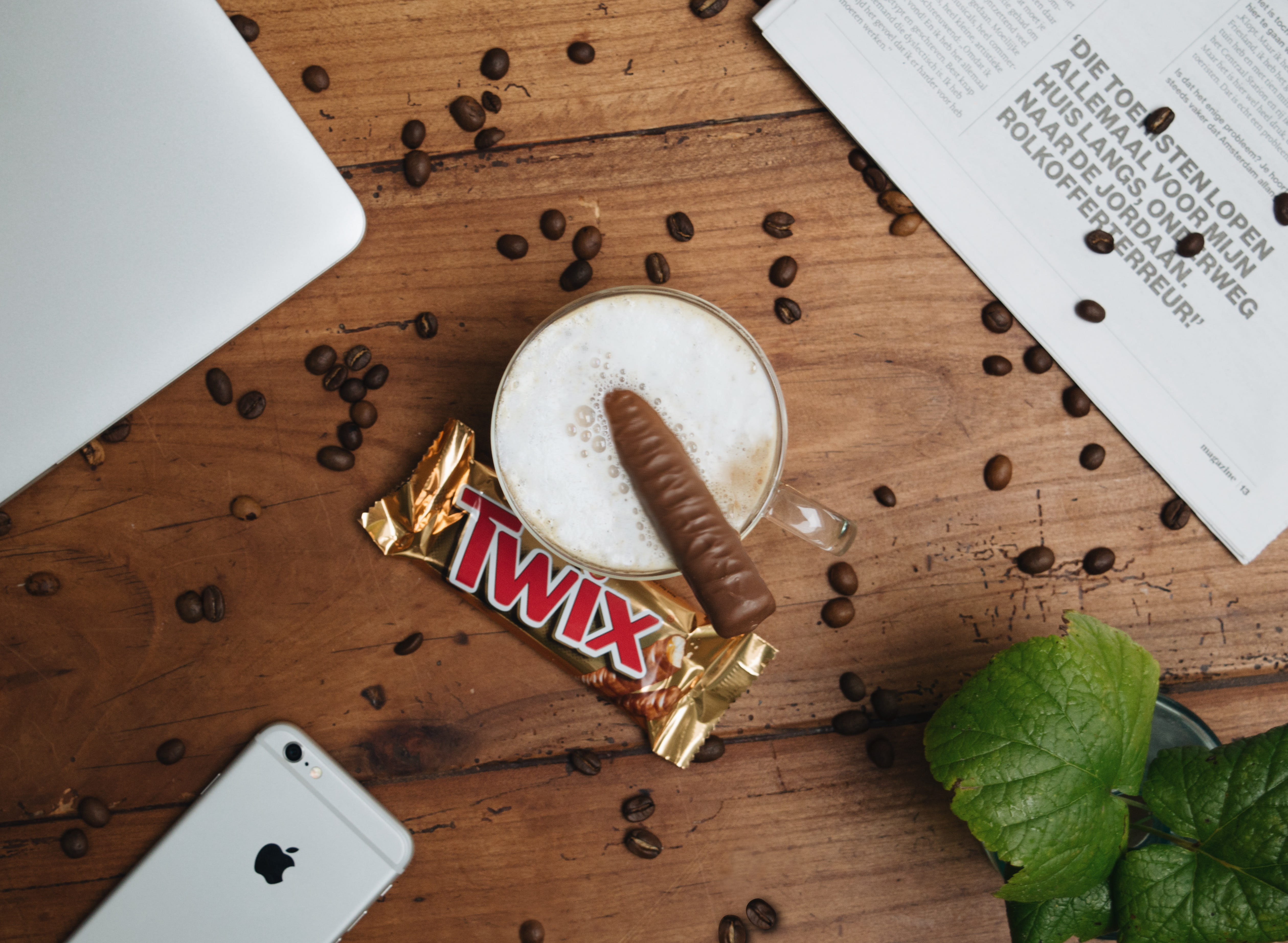 jar, plant, communication, food and drink, social issues, directly above, tool, high angle view, work tool, still life, twix, drink, mug, wood - material, HD Wallpaper