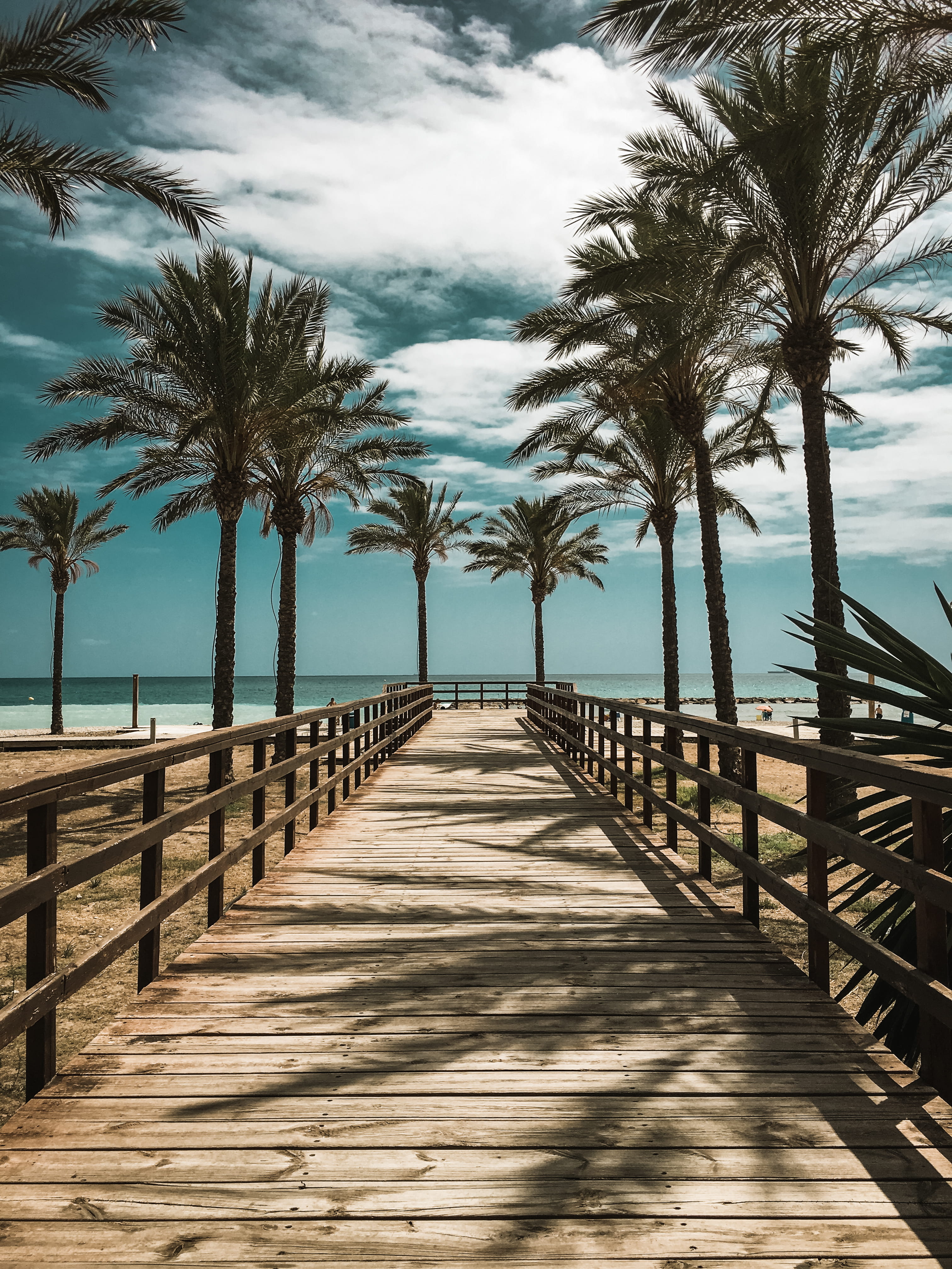 sea, wood paneling, footpath, trees, railing, cloud - sky, beauty in nature, tropical climate, 4K, the way forward, sky, no people, diminishing perspective, Phone HD Wallpaper