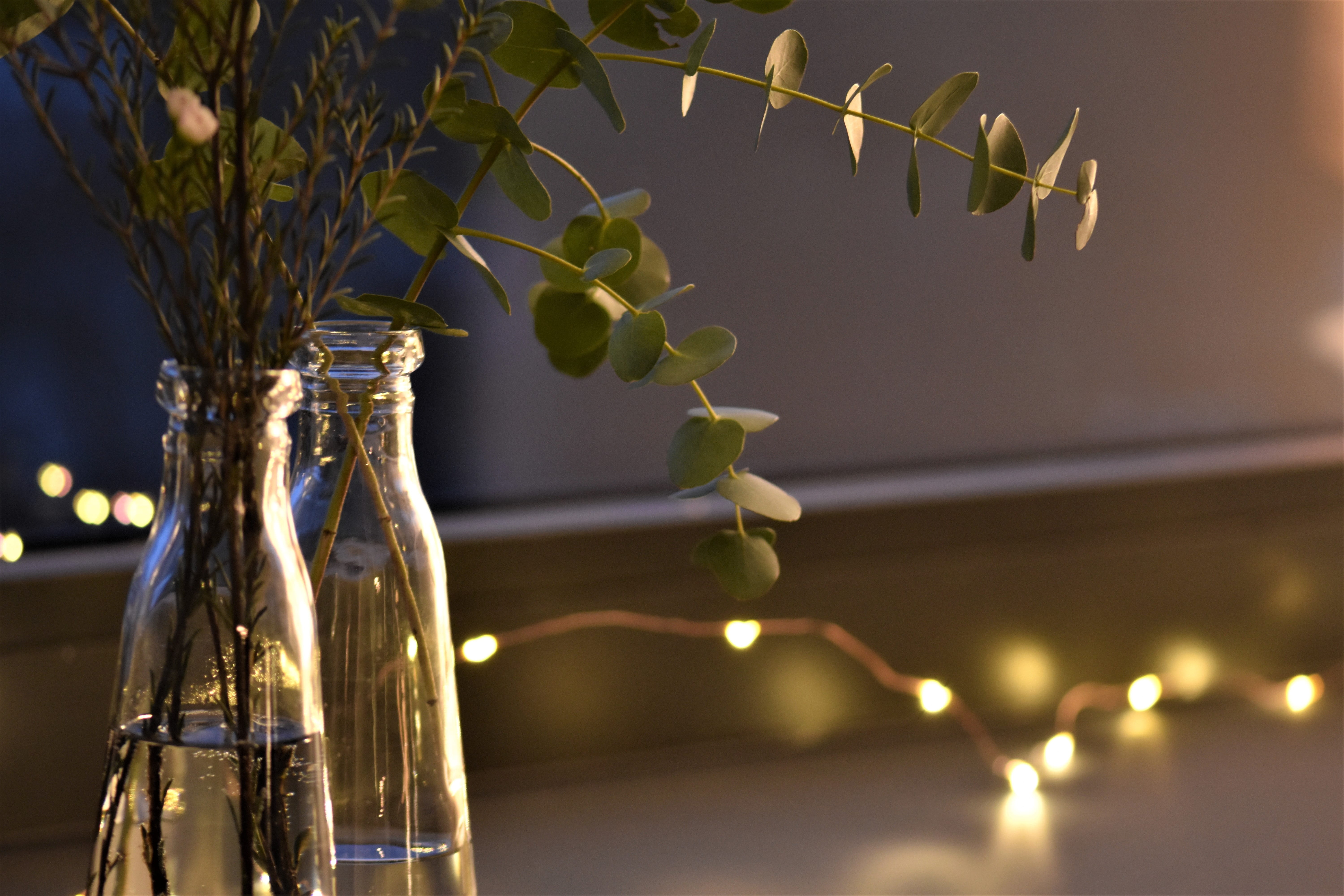 christmas, container, nature, lichterkette, beauty in nature, christmas decoration, glass, selective focus, glass - material, illuminated, transparent, HD Wallpaper