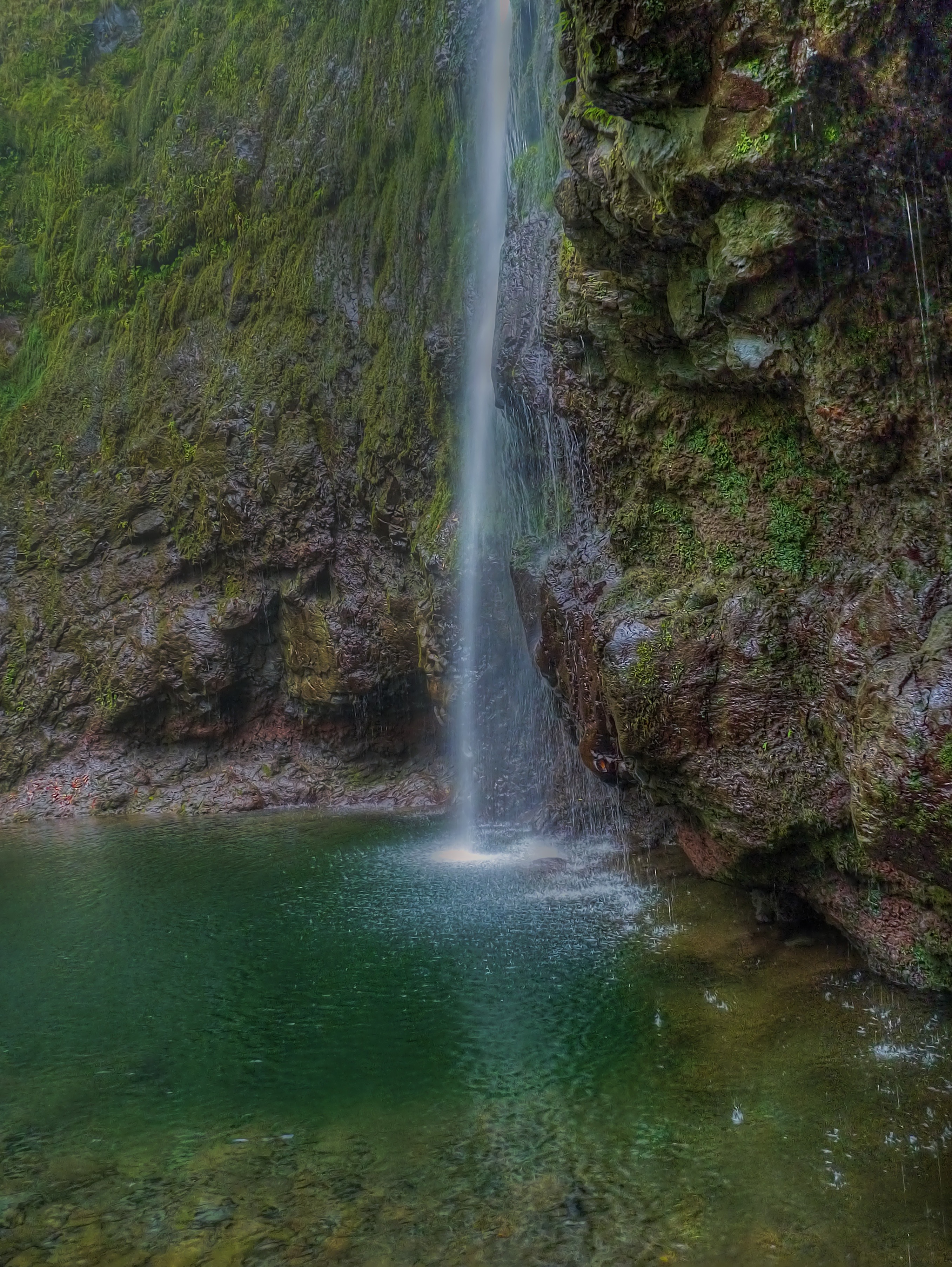 motion, outdoors, atlantic, scenics - nature, island, mountains, long exposure, tree, flowing water, holiday, recovery, levada, hiking, forest, relaxation, Phone HD Wallpaper