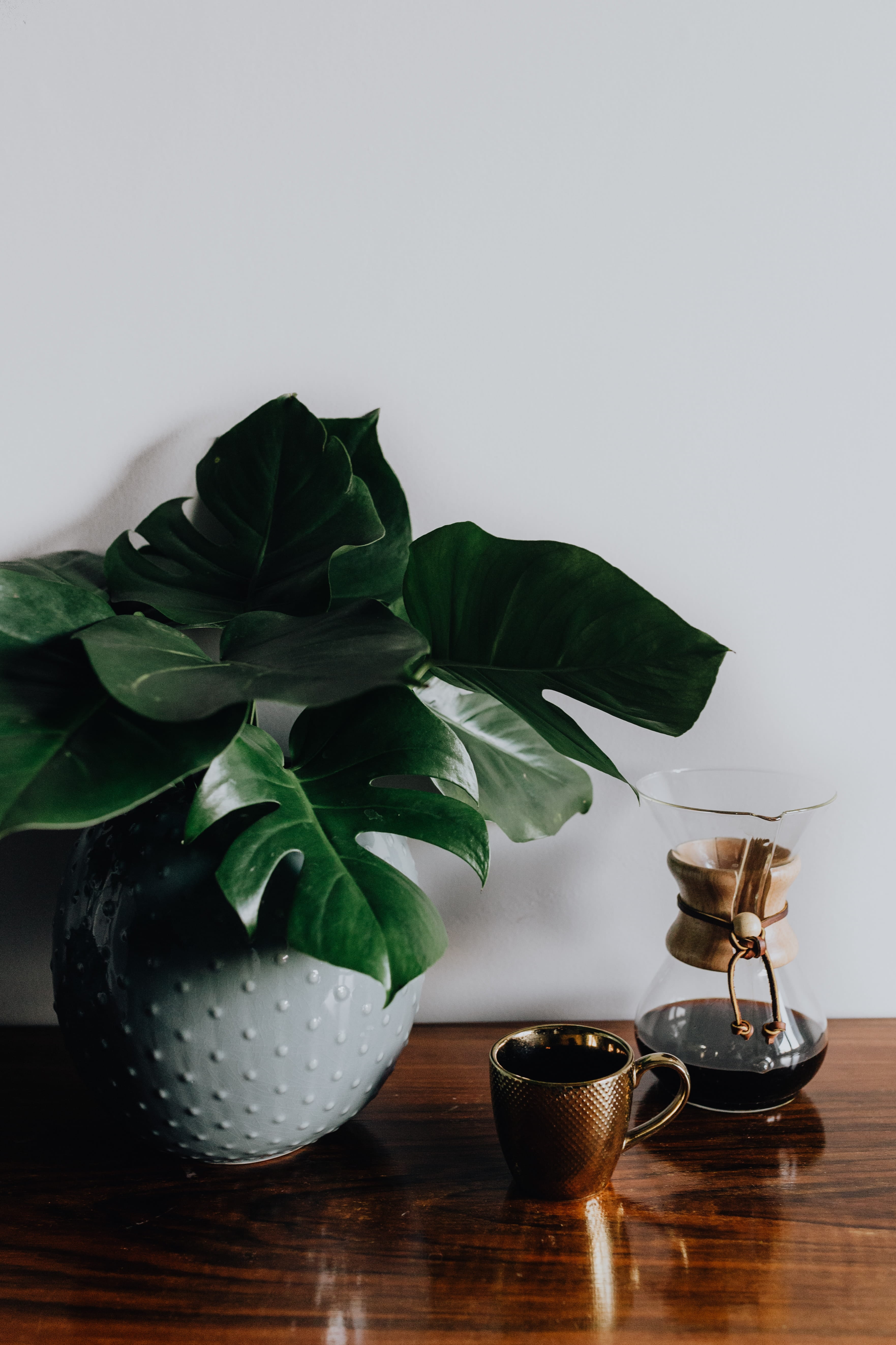 green color, refreshment, household equipment, houseplant, freshness, break, nature, close-up, coffee, pause, food and drink, indoors, plant part, table, Phone HD Wallpaper