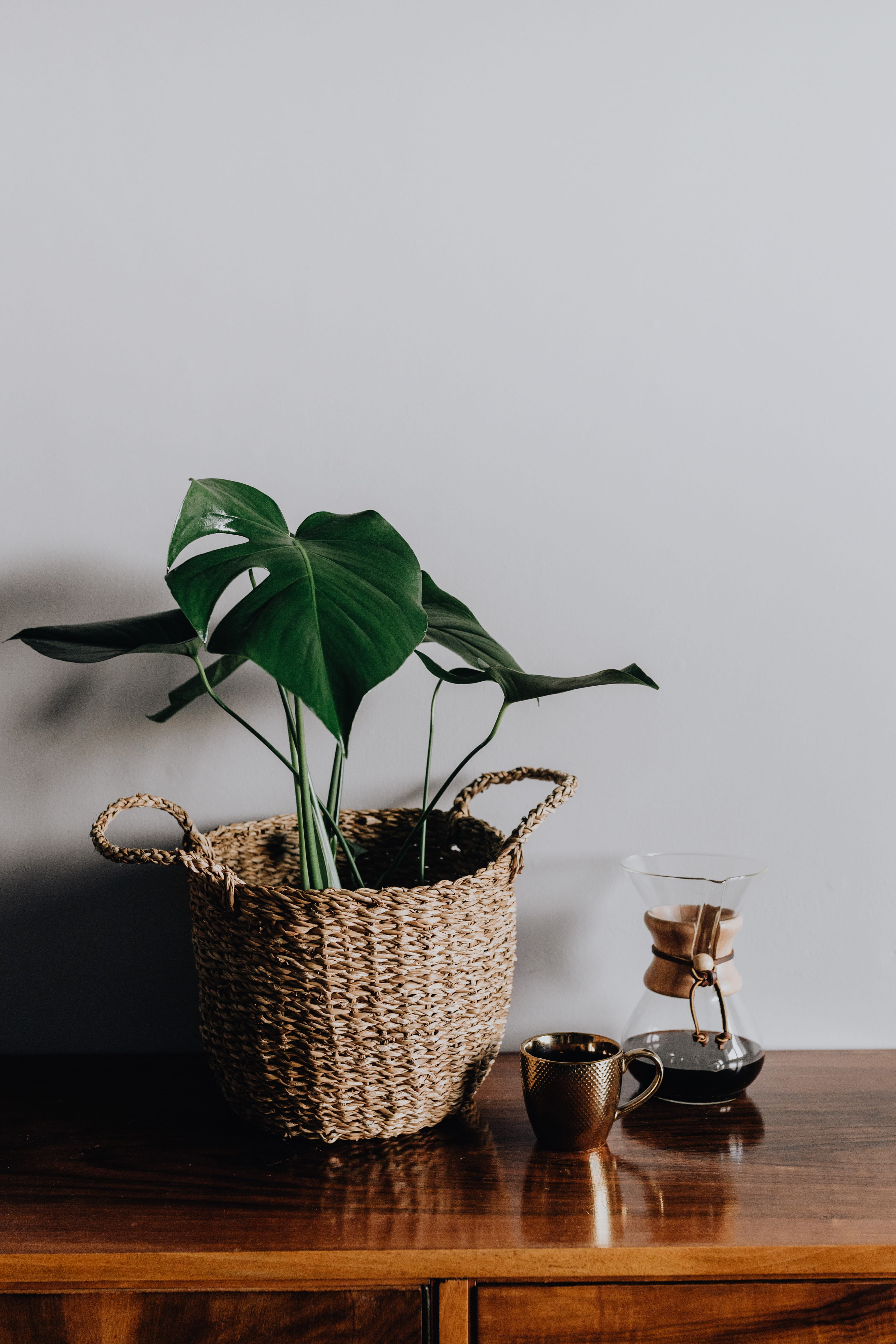 freshness, coffee, cafe, 5K, houseplant, plant part, flower pot, leaf, copy space, chemex, morning, maker, green color, break, plant, growth, home interior, Phone HD Wallpaper