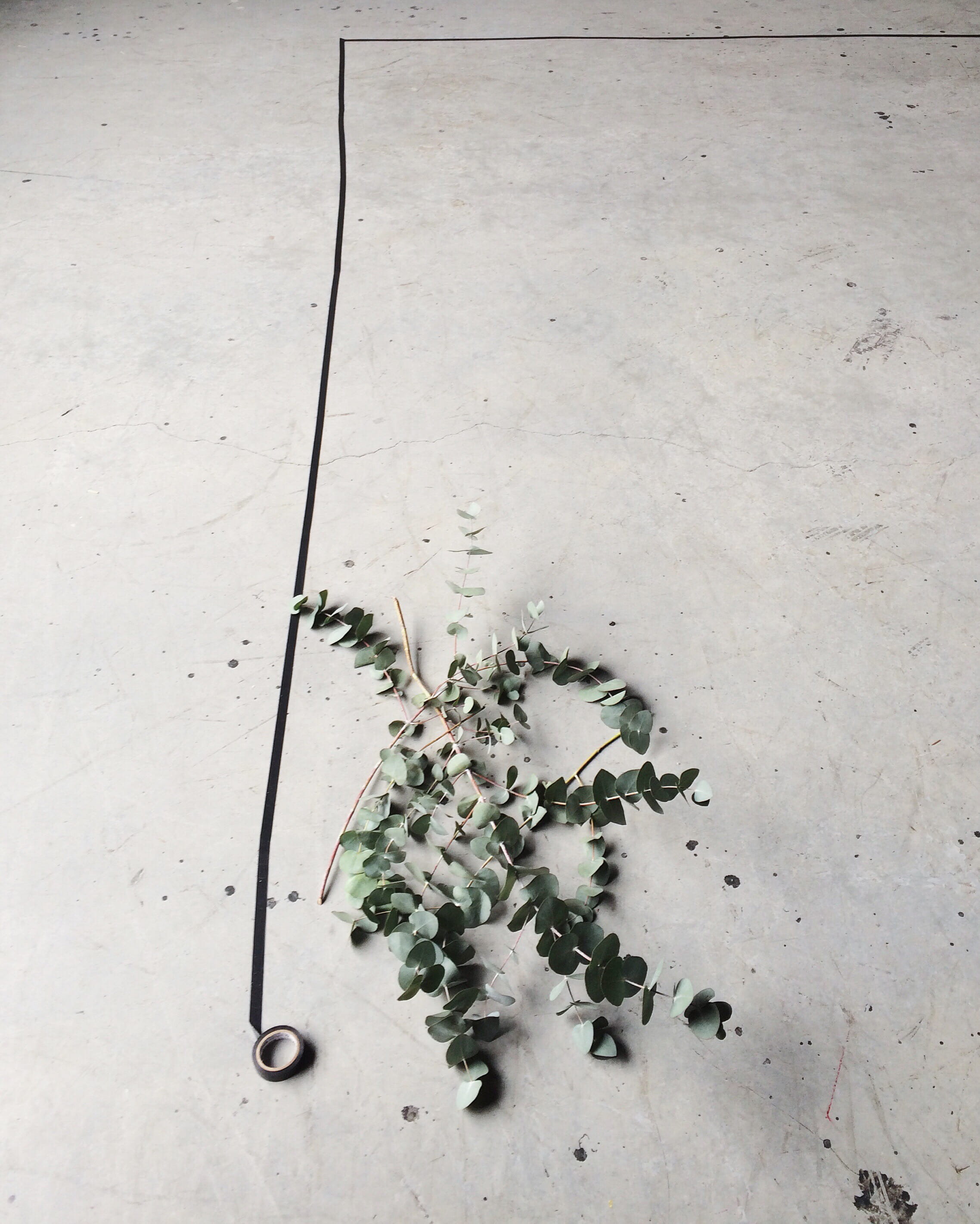 plant, food and drink, gray, snow, still life, tile, 2K, concrete, food, eucalyptus, freshness, tiled floor, high angle view, day, directly above, flower, Phone HD Wallpaper