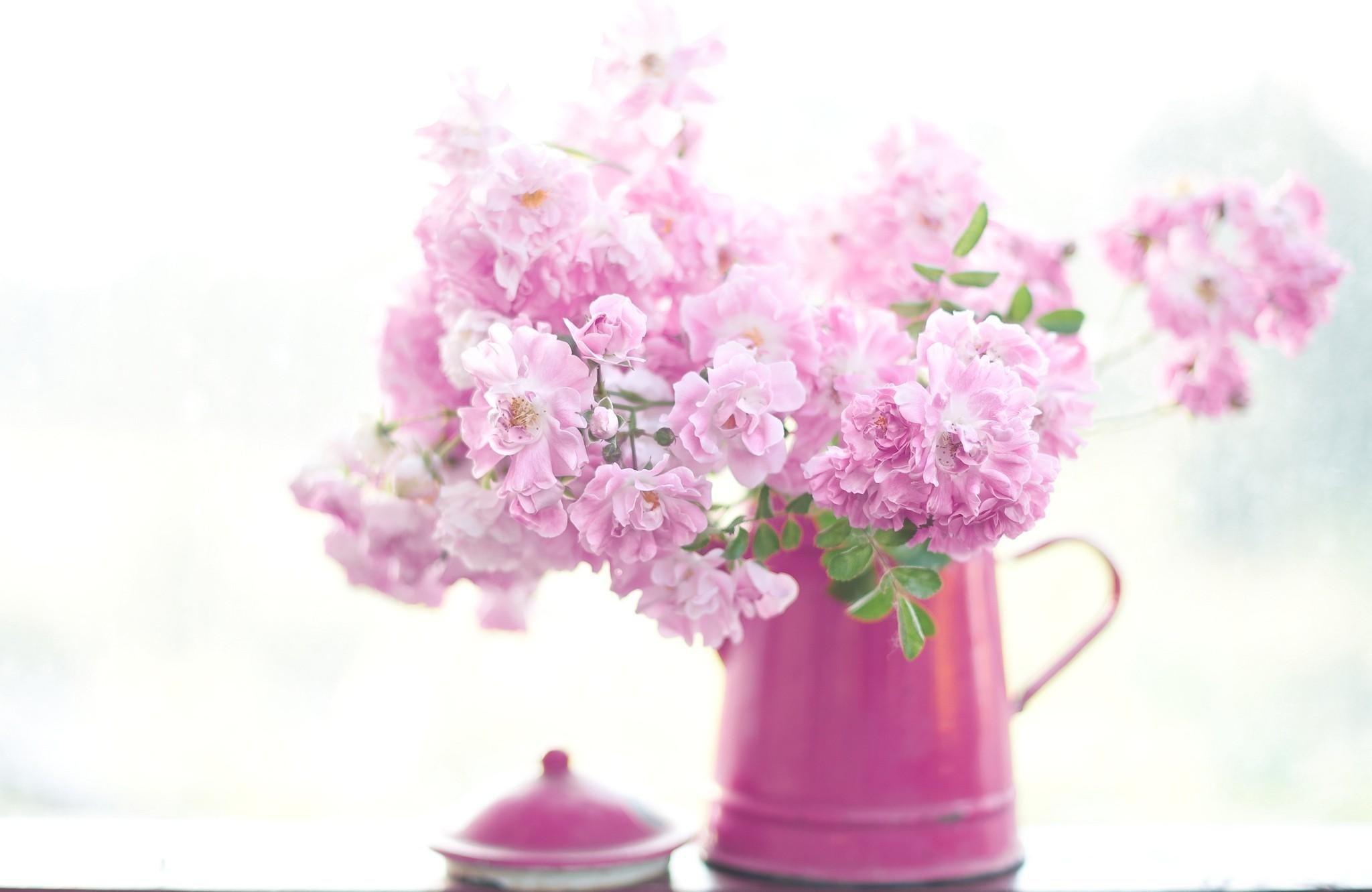 nature, flower, romantic, 1080P, nature and landscapes, flowers, indoor, plant, pink, color, HD Wallpaper