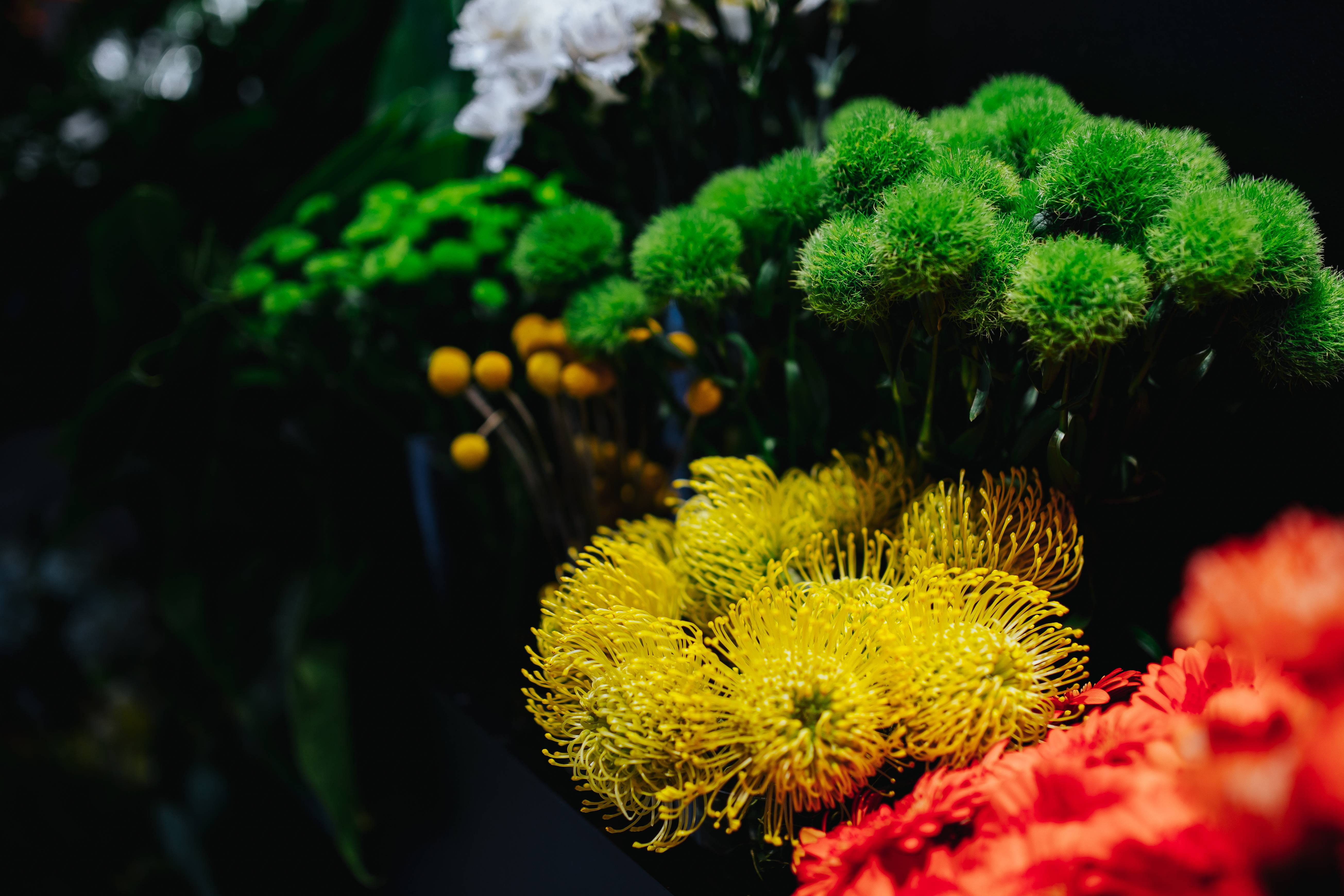 selective focus, pretty, water, beauty in nature, undersea, green color, vulnerability, flower, bouquets, focus on foreground, underwater, yellow, flowering plant, HD Wallpaper
