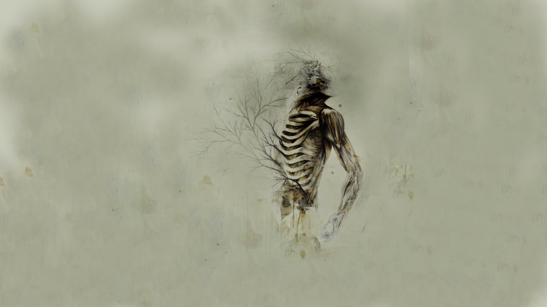 1080P, hd, skeleton, drawing, digital/artwork, abstract, bones, HD Wallpaper