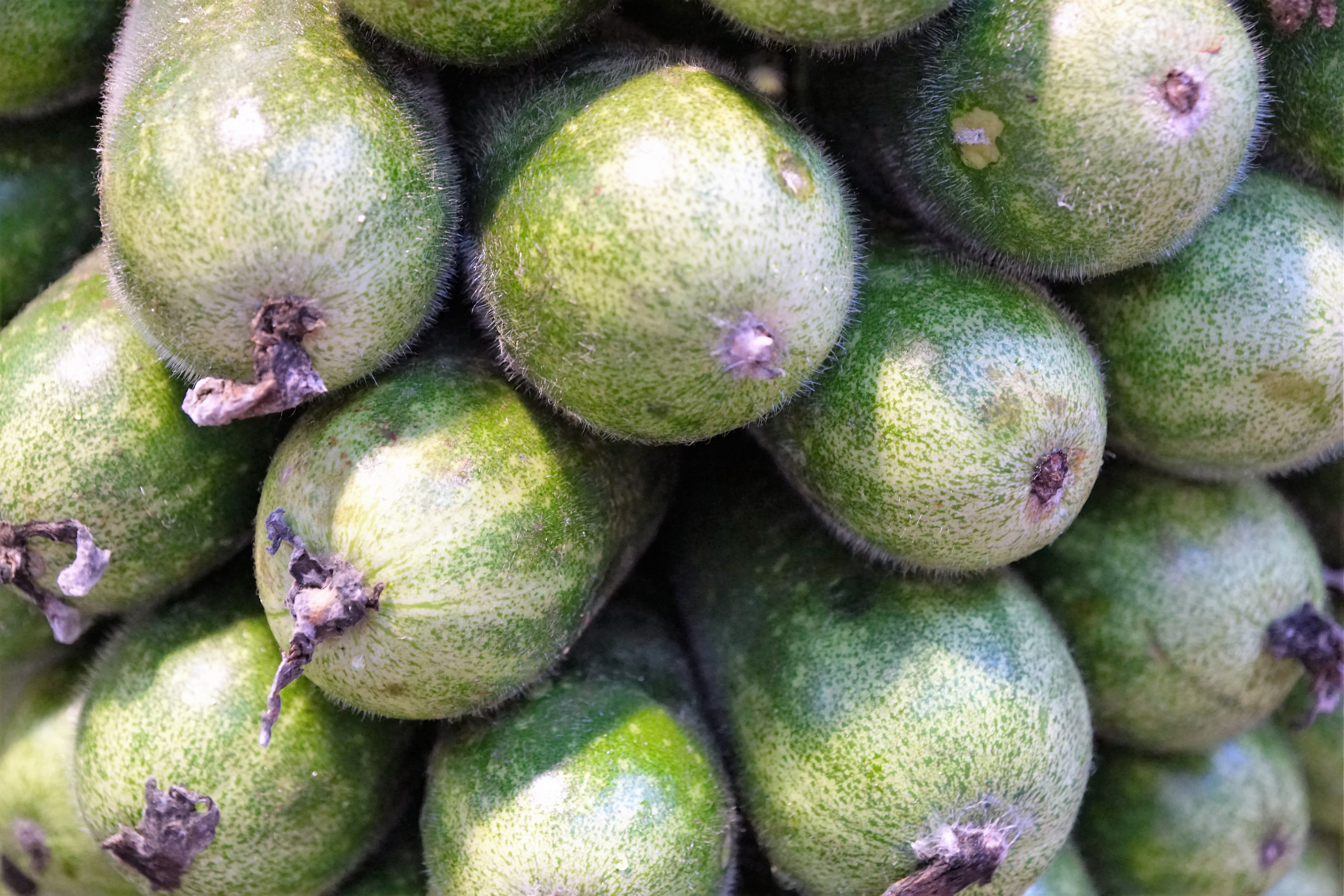 backgrounds, still life, green color, vitamin, wellbeing, exotic, harvest, agriculture, vegan, sun, food, large group of objects, delicious, close-up, market, HD Wallpaper