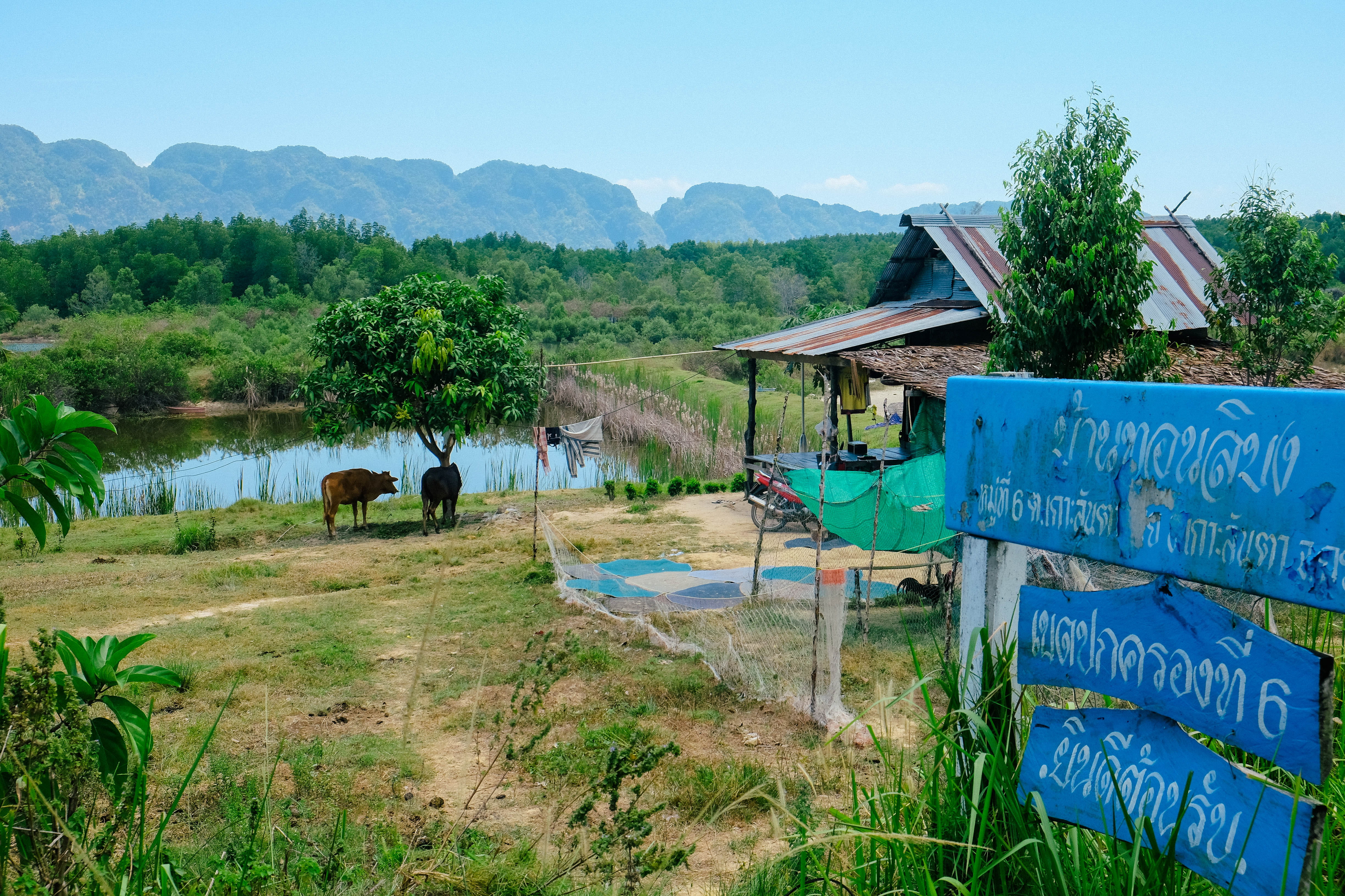 4K, sign, scenics - nature, remote, outdoors, ruiz, serence, mountains, peaceful, sky, ko lanta district, water, growth, plant, lake, trees, green color, HD Wallpaper