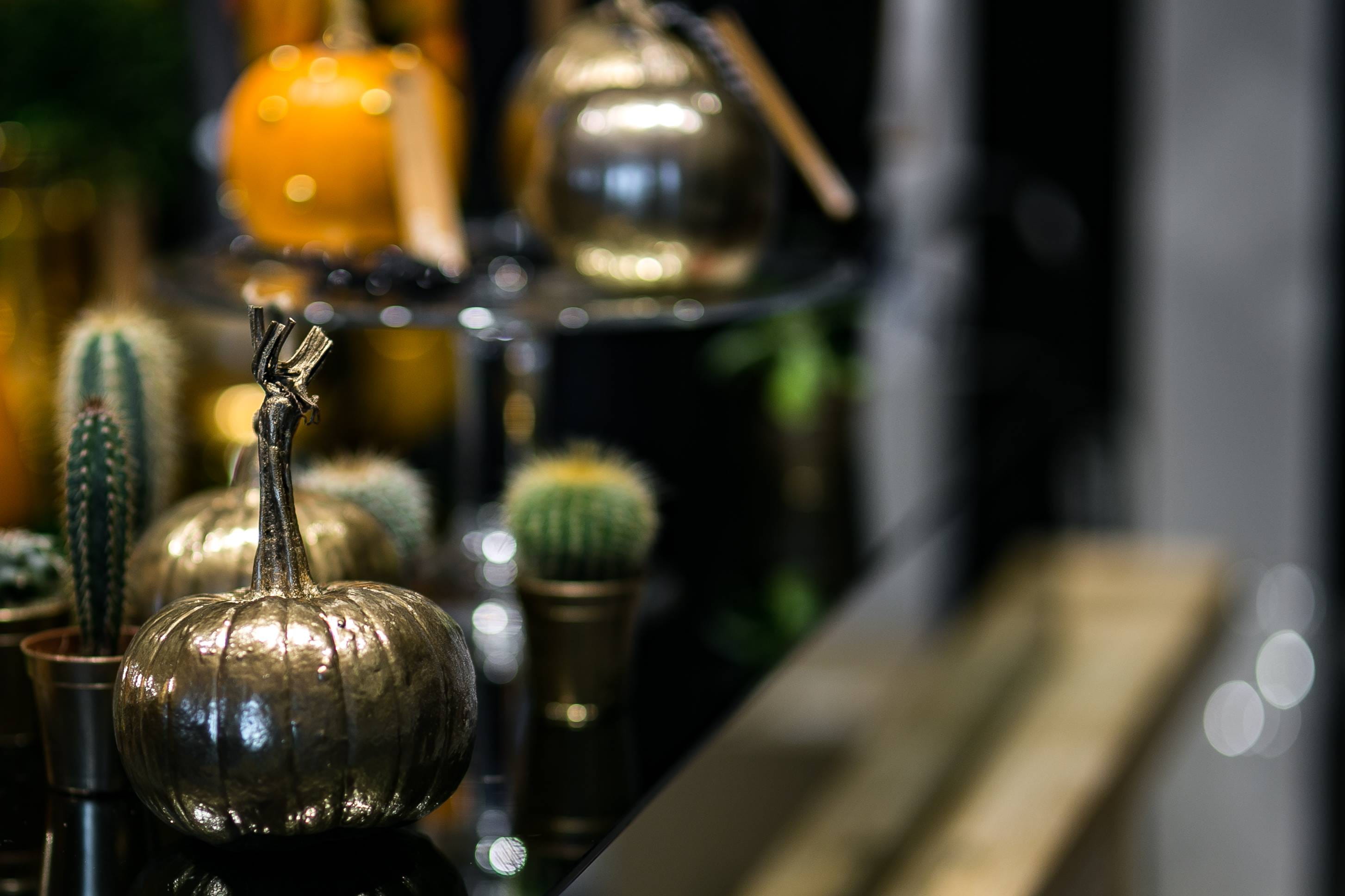 glass, ornaments, bottle, indoors, focus on foreground, still life, in a row, winery, refreshment, ornamental, wine, alcohol, cactuses, no people, lighting equipment, HD Wallpaper