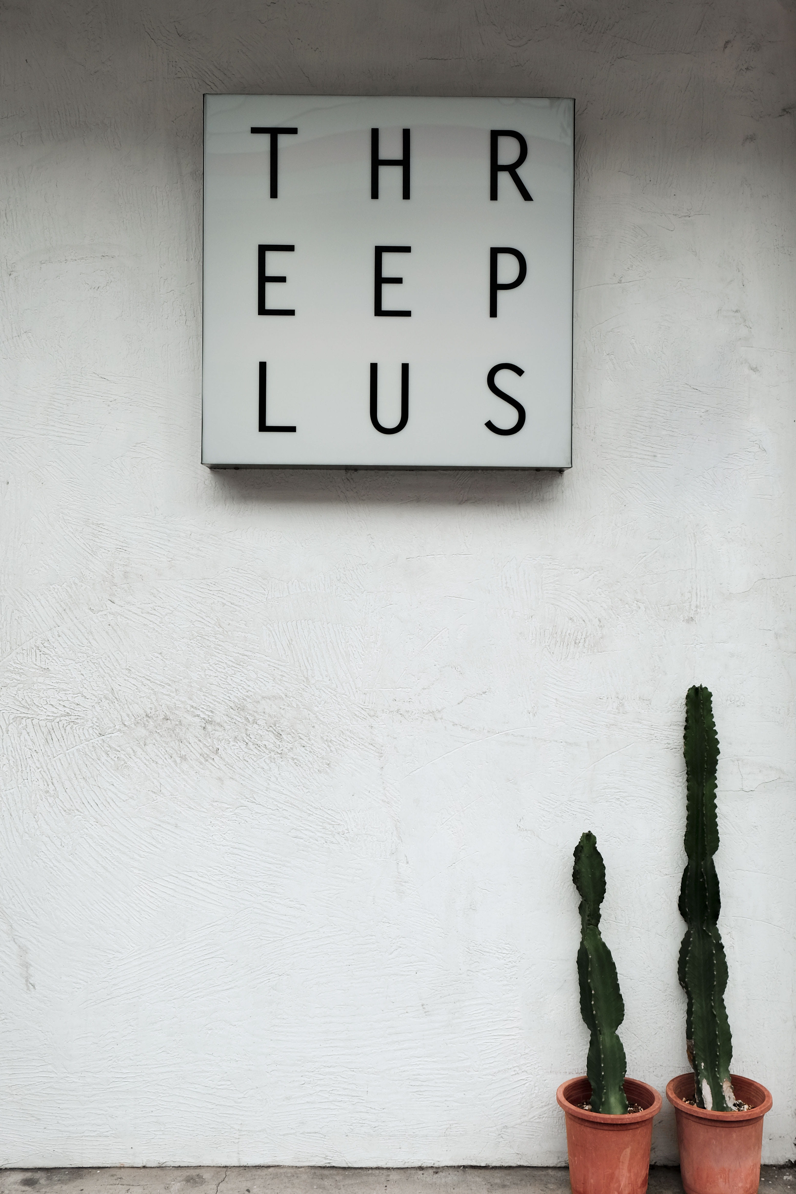 cacti, indoor plants, pots, plant, white background, built structure, potted plant, colors, white color, cactuses, wall - building feature, growth, close-up, Phone HD Wallpaper
