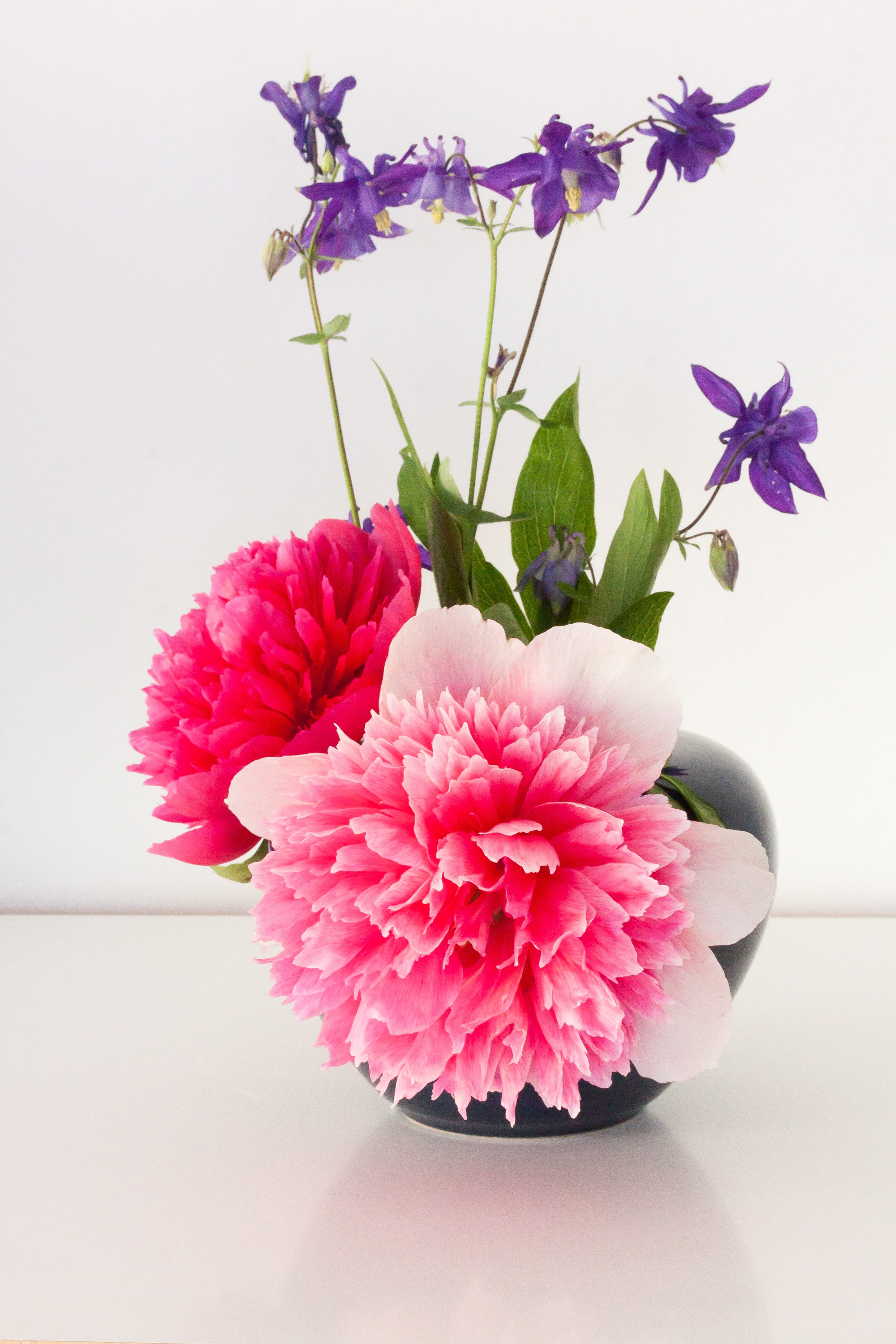 green, flower arrangement, blossom, close-up, flowering plant, pink, plant, photography, inflorescence, flowers, violet, vulnerability, wall - building feature, Phone HD Wallpaper