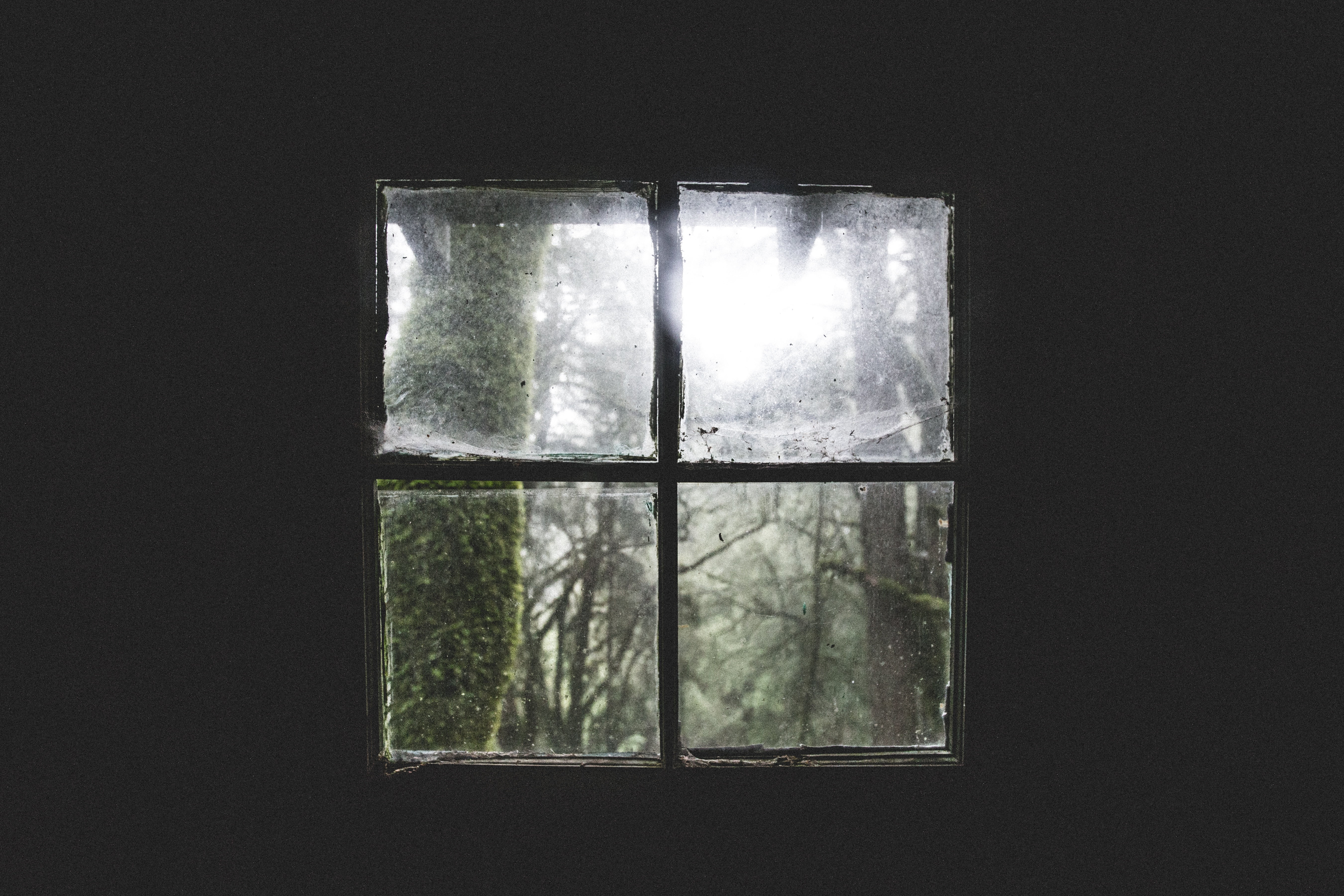 geometric shape, cold temperature, plant, photography, window sill, tree, square, decrepit, security, window frame, cabin, sunlight, glass - material, transparent, HD Wallpaper