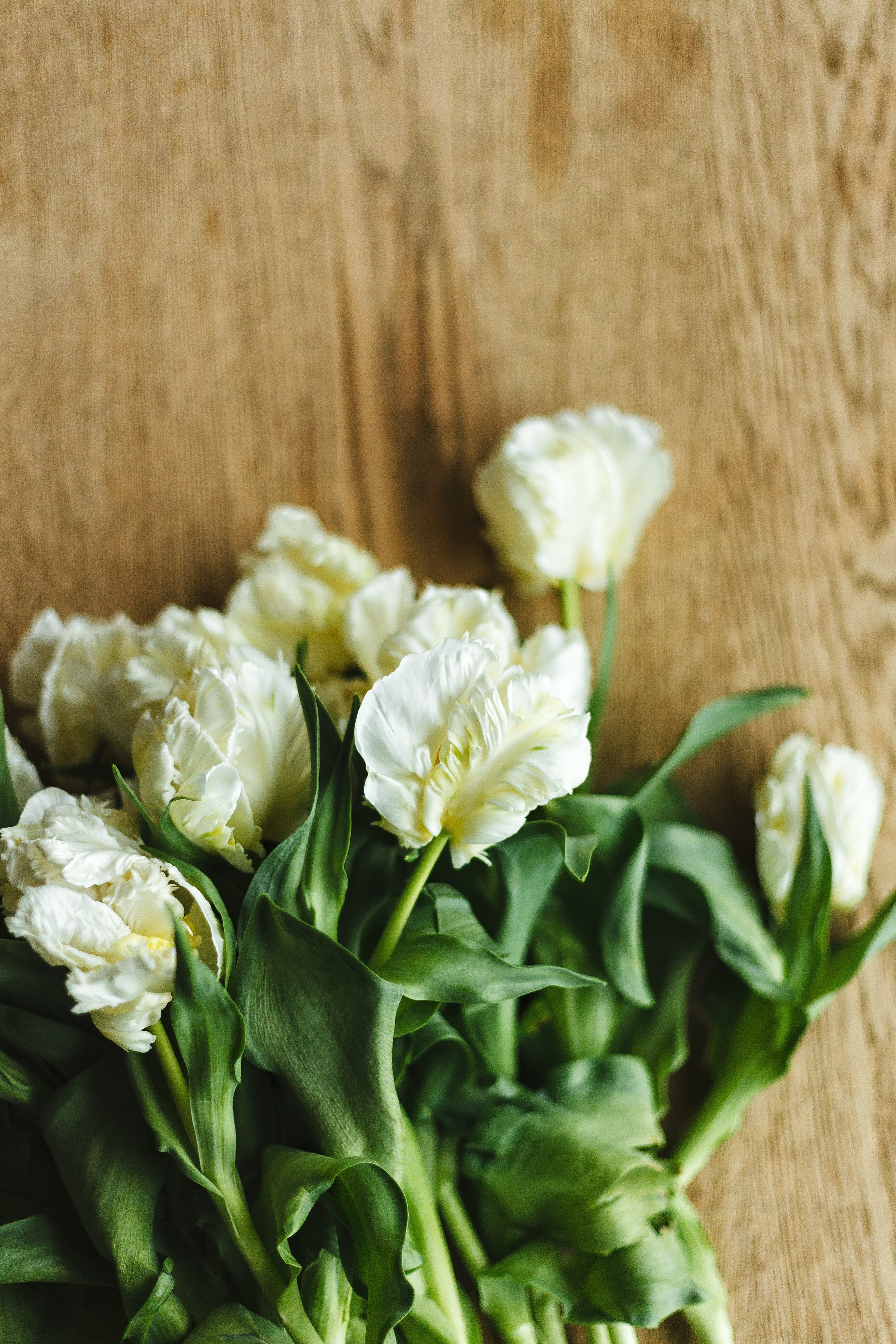high angle view, vulnerability, bunch of flowers, oak, petal, bouquet, flower, wood, sun, fragility, light, beauty in nature, plant, nature, inflorescence, Phone HD Wallpaper