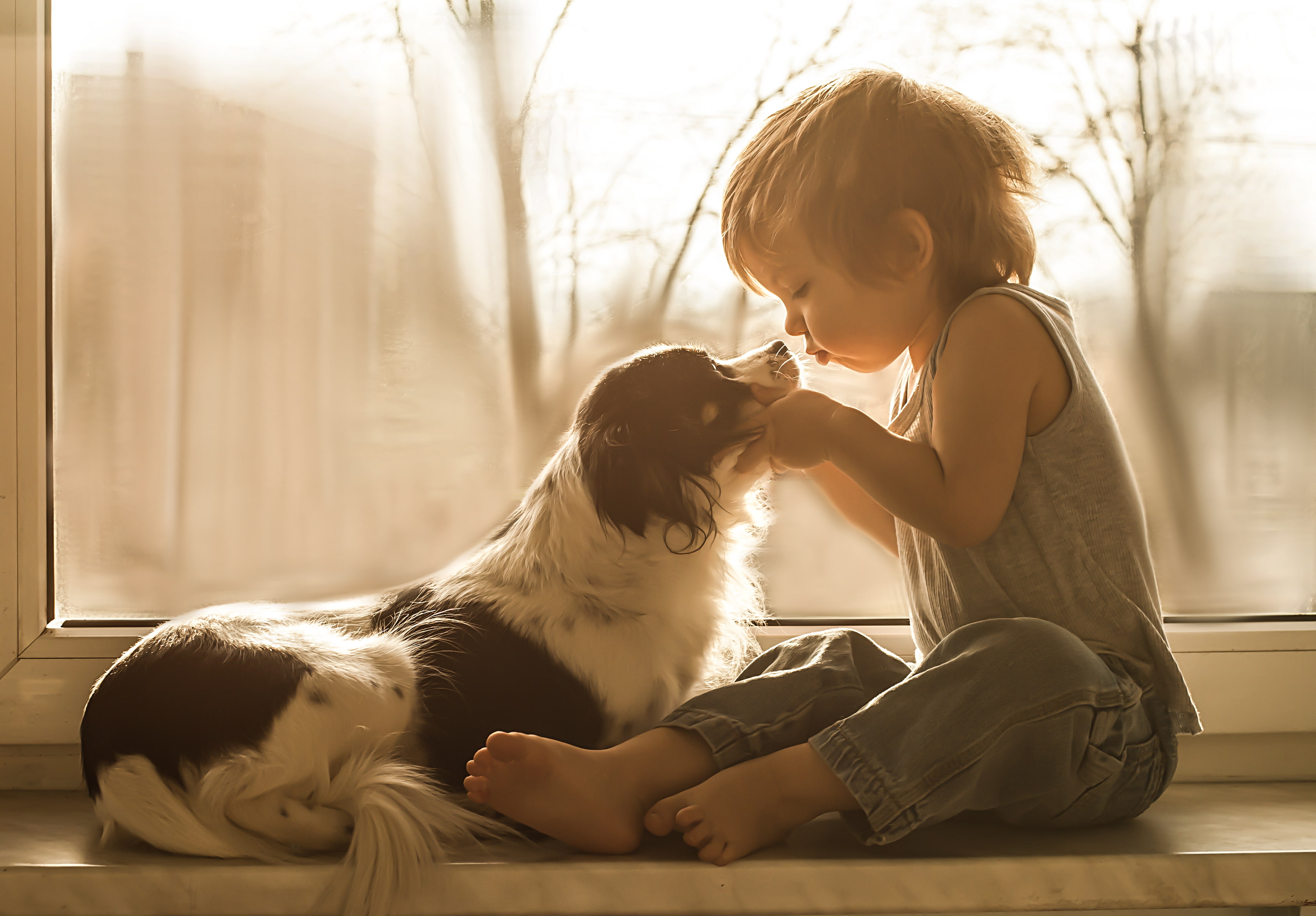 2K, boy, dog, window, on the windowsill, friends, HD Wallpaper