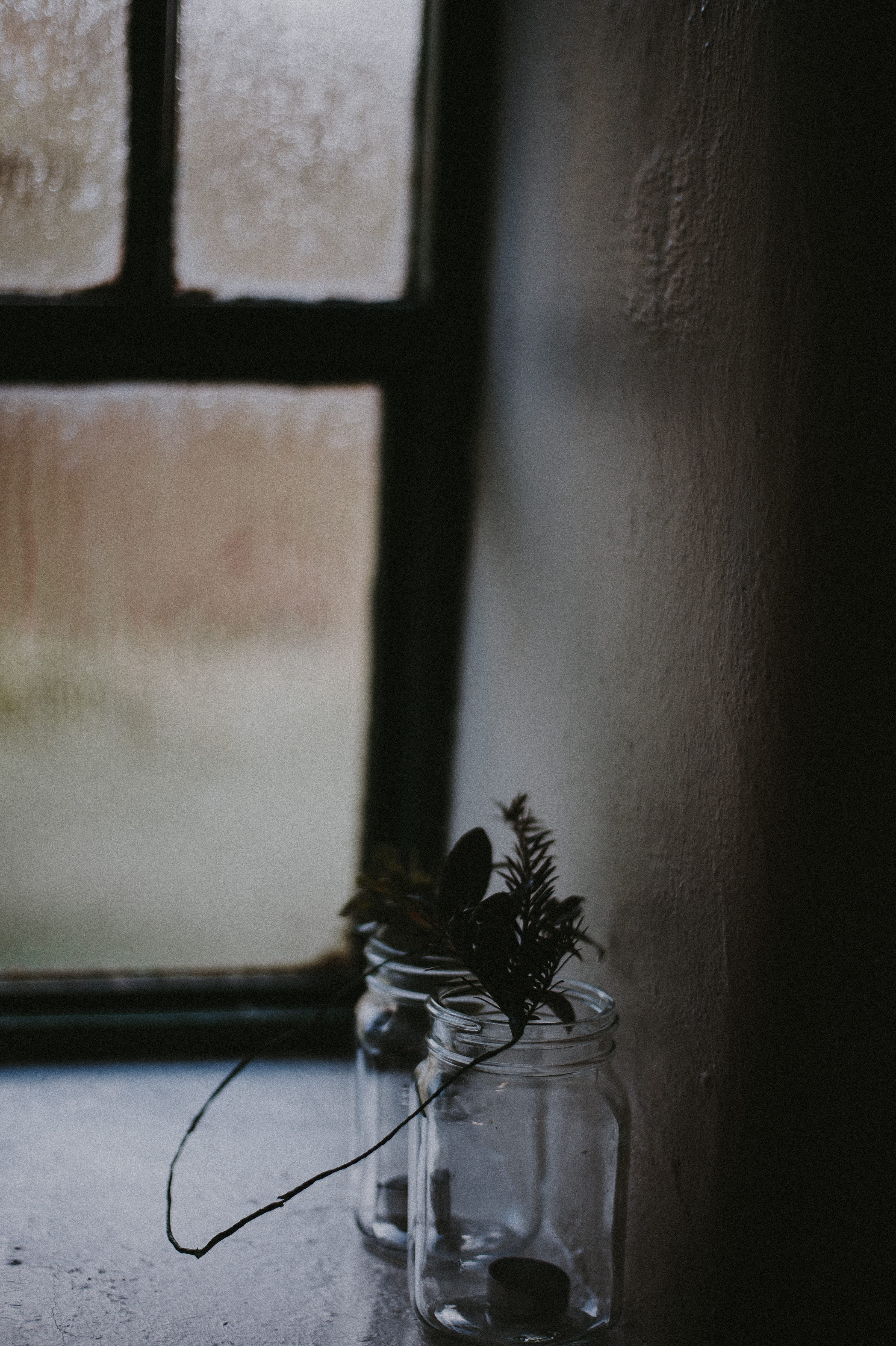 glass, bottle, foliage, jars, nature, jar, no people, close-up, table, window, day, 4K, windowsill, indoors, wall - building feature, old, vase, transparent, Phone HD Wallpaper