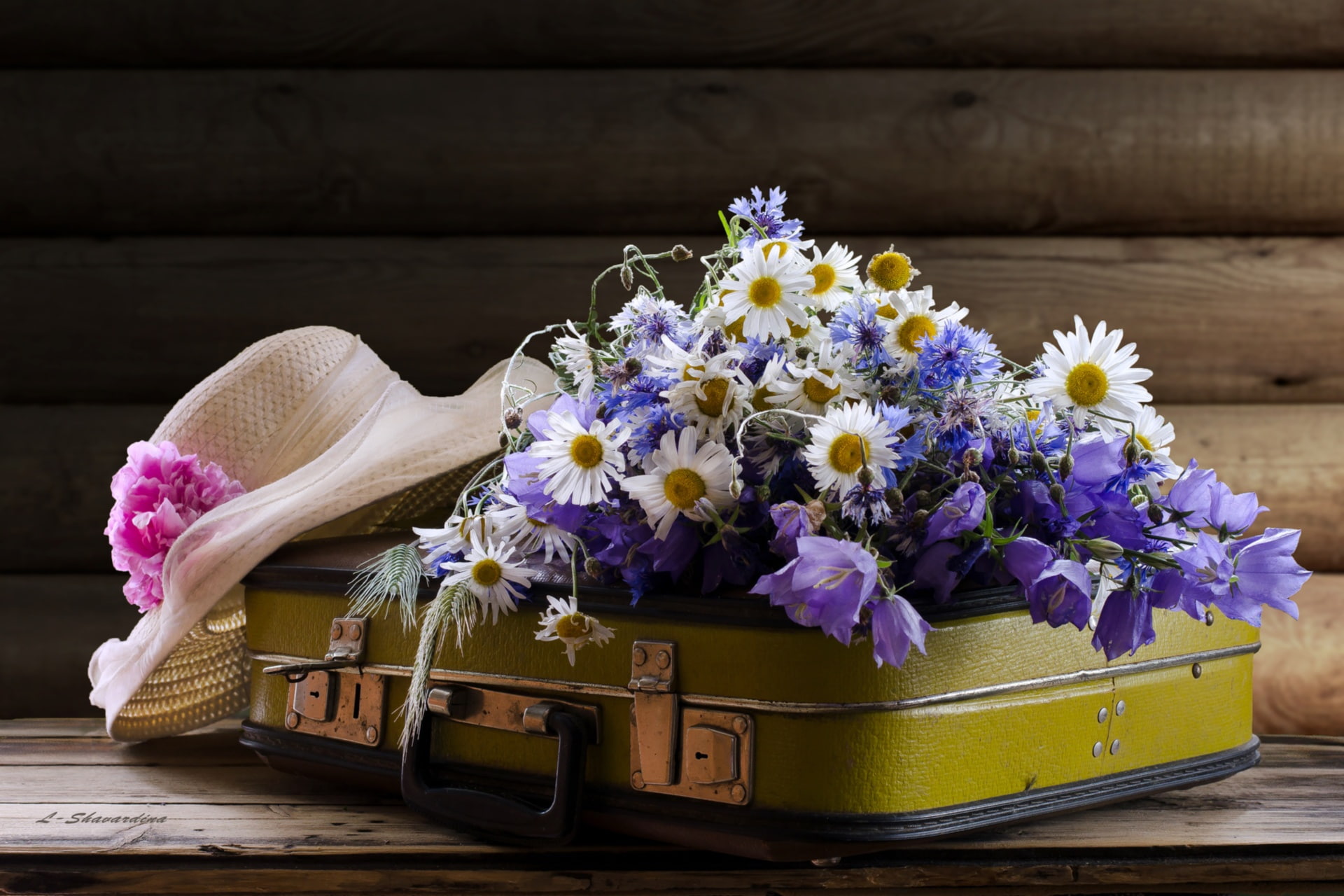 chamomile, bells, 1080P, hat, suitcase, forget-me-nots, HD Wallpaper
