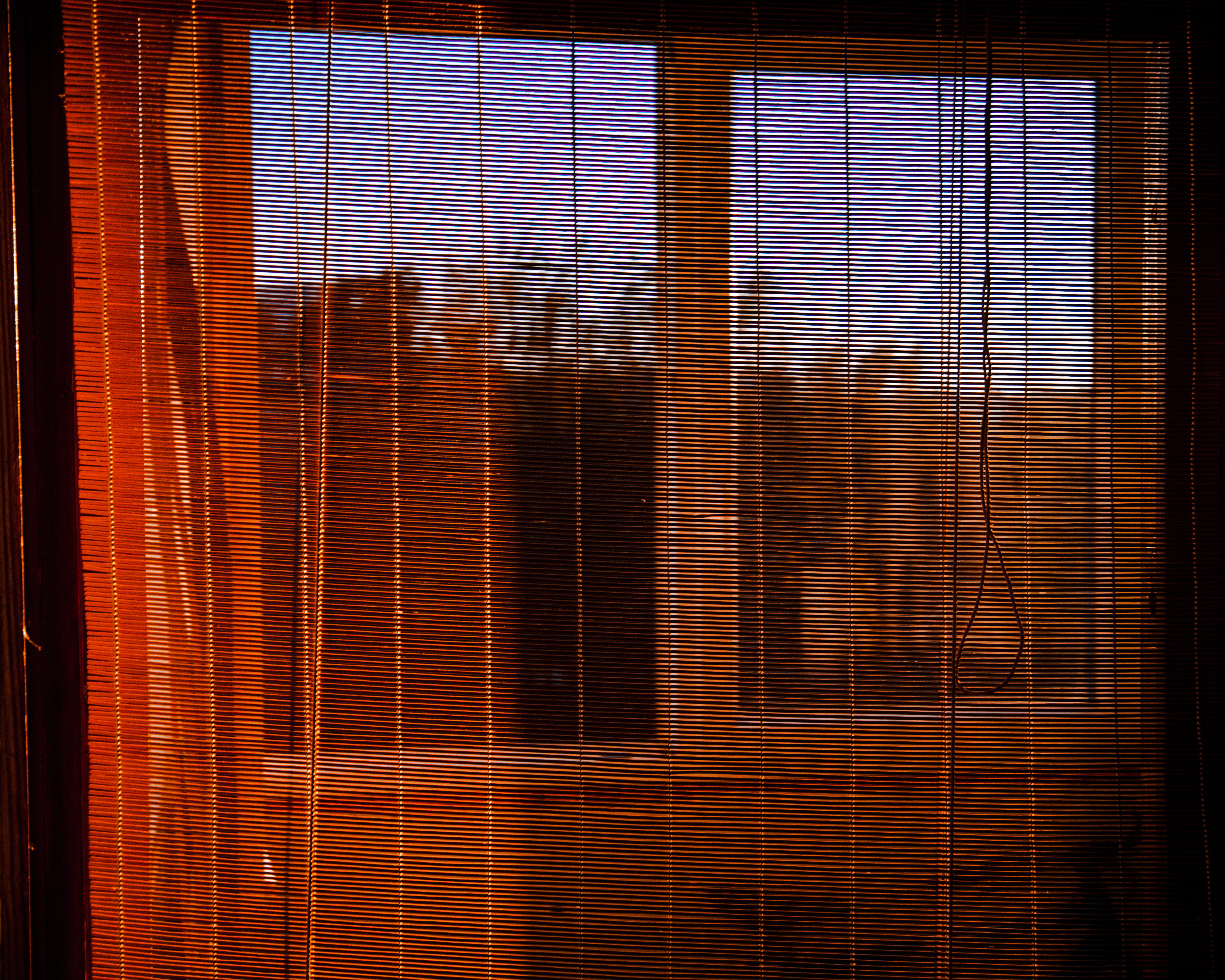 no people, close-up, daytime, full frame, curtain, 4K, alloy, blinds, glass, indoors, white, beside, security, window shade, home decor, textured, backgrounds, HD Wallpaper