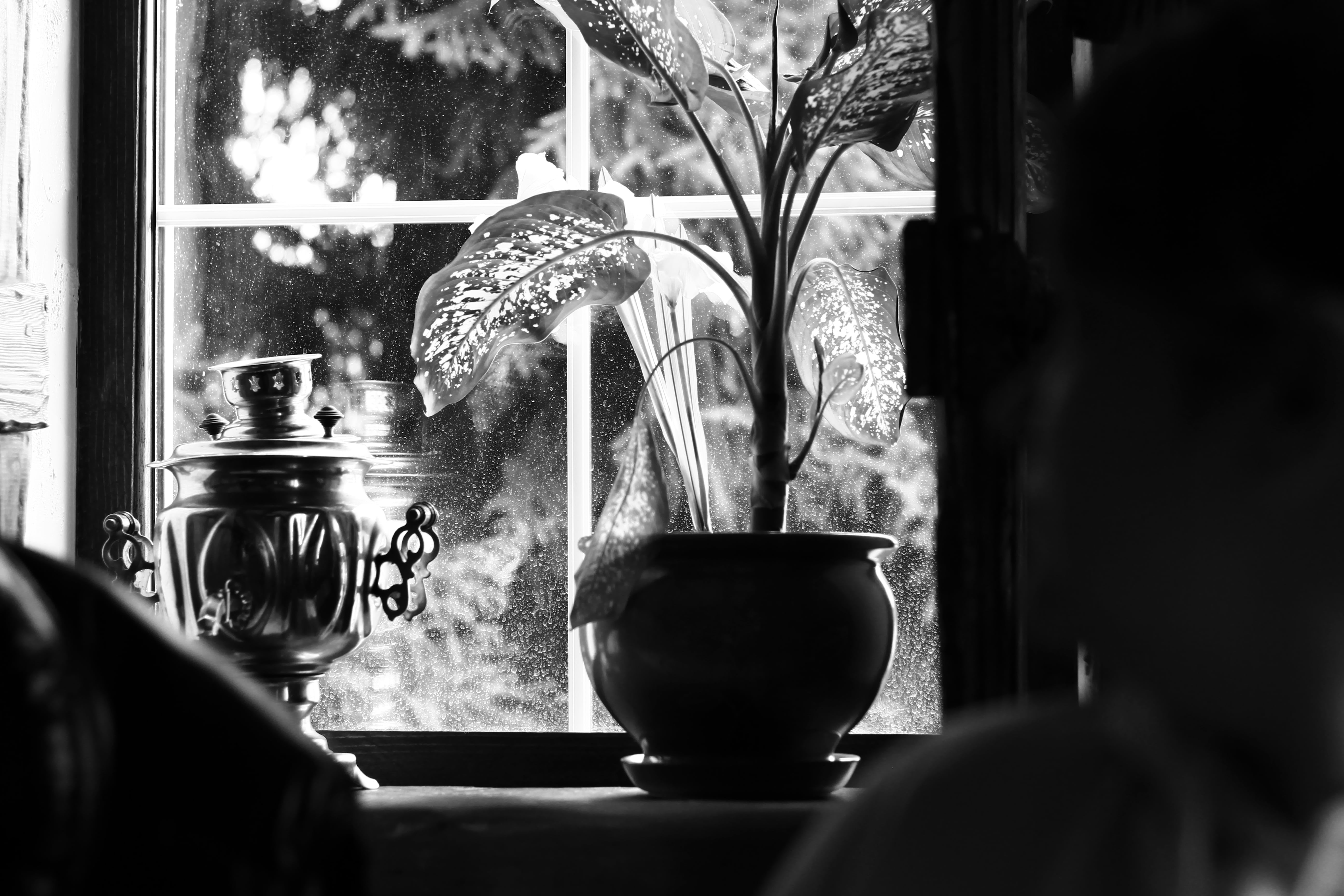 art, seat, transparent, 5K, day, glass - material, absence, samovar, vase, window sill, no people, still life, restaurant, refreshment, food and drink, HD Wallpaper