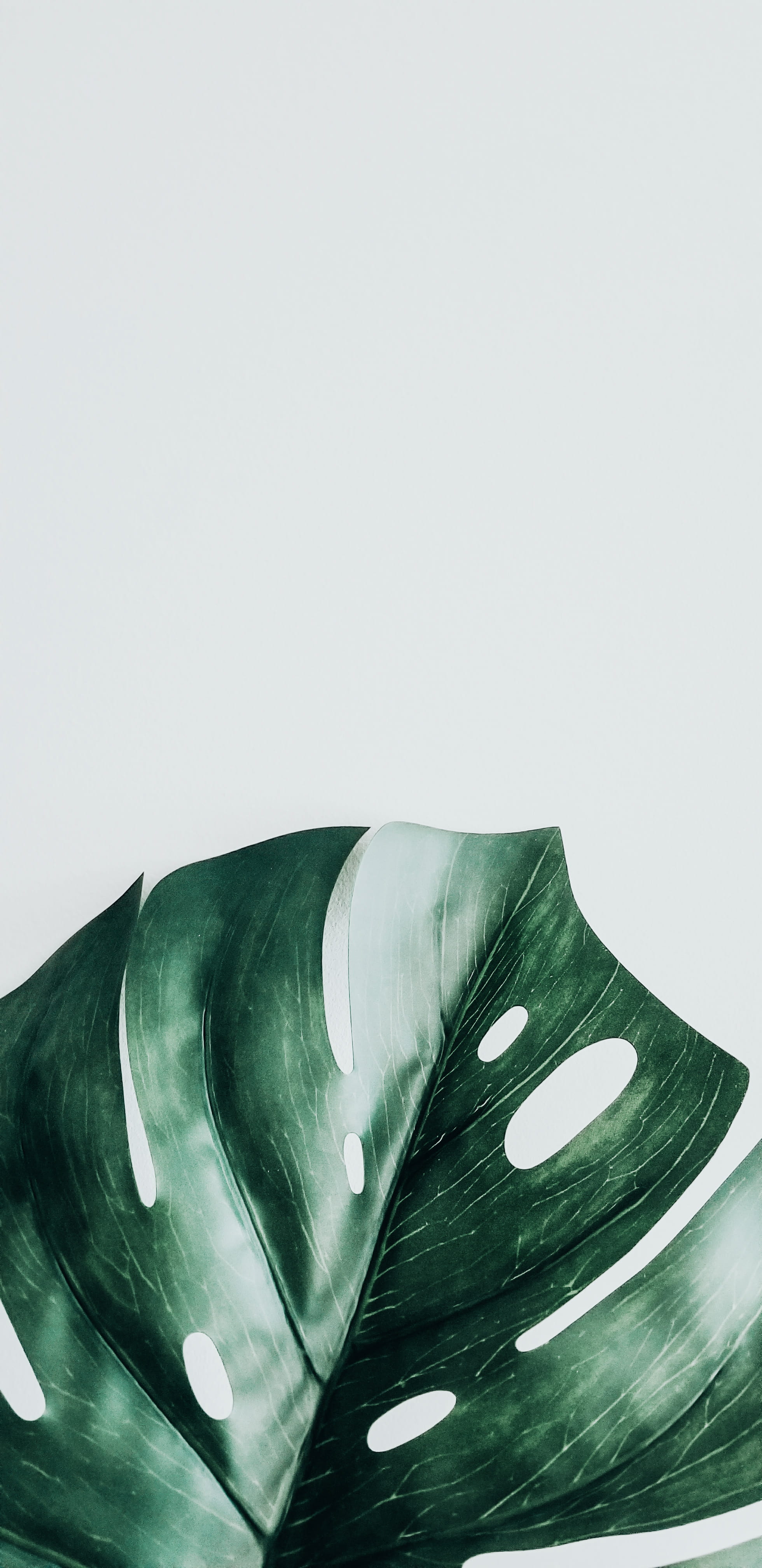 art and craft, pattern, studio shot, emotion, blossom, symbol, money, tulip, built structure, iris, leaf, coin, plant, machine, green, tire, no people, Phone HD Wallpaper
