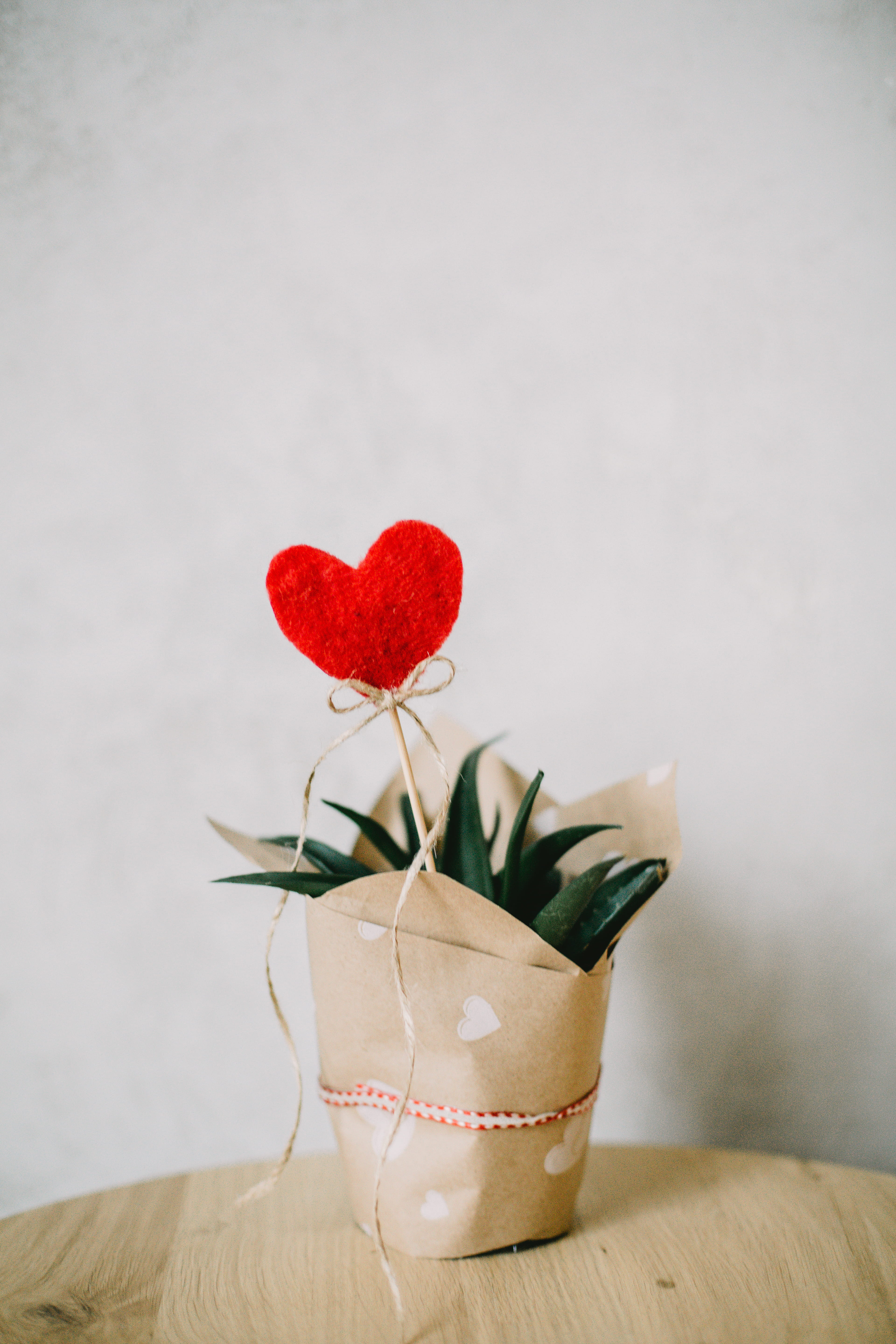 still life, heart, ribbon - sewing item, shape, flowering plant, valentines day - holiday, close-up, bow, 5K, color, vase, twine, ribbon, indoors, plant, Phone HD Wallpaper