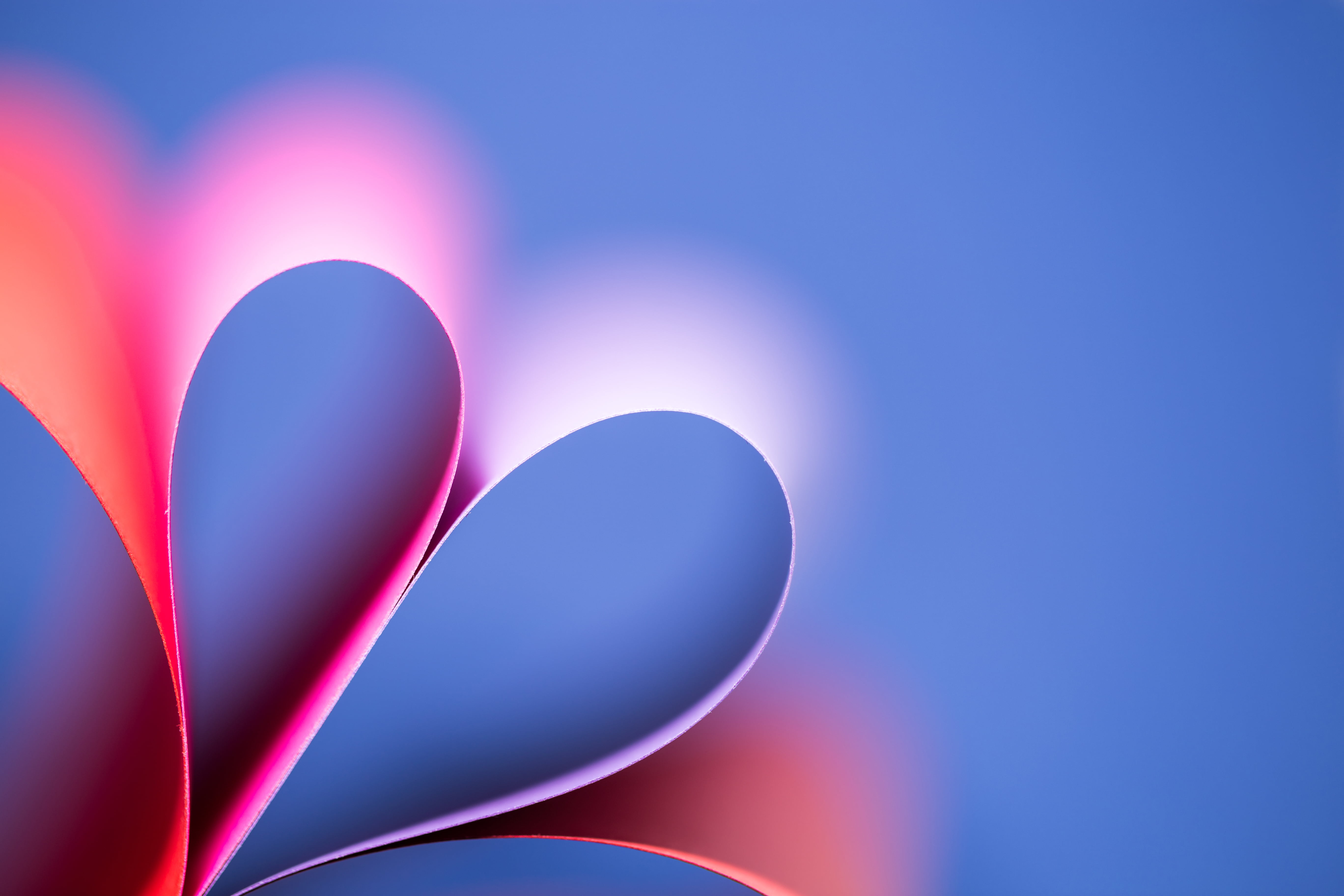 Colour, colours, flasch, blitz, petal, pink, paper, present, 5K, cc, macro, commons, Canon, Germany, Herz, flowers, 2.8  mm, lichter, decoration, photography, HD Wallpaper