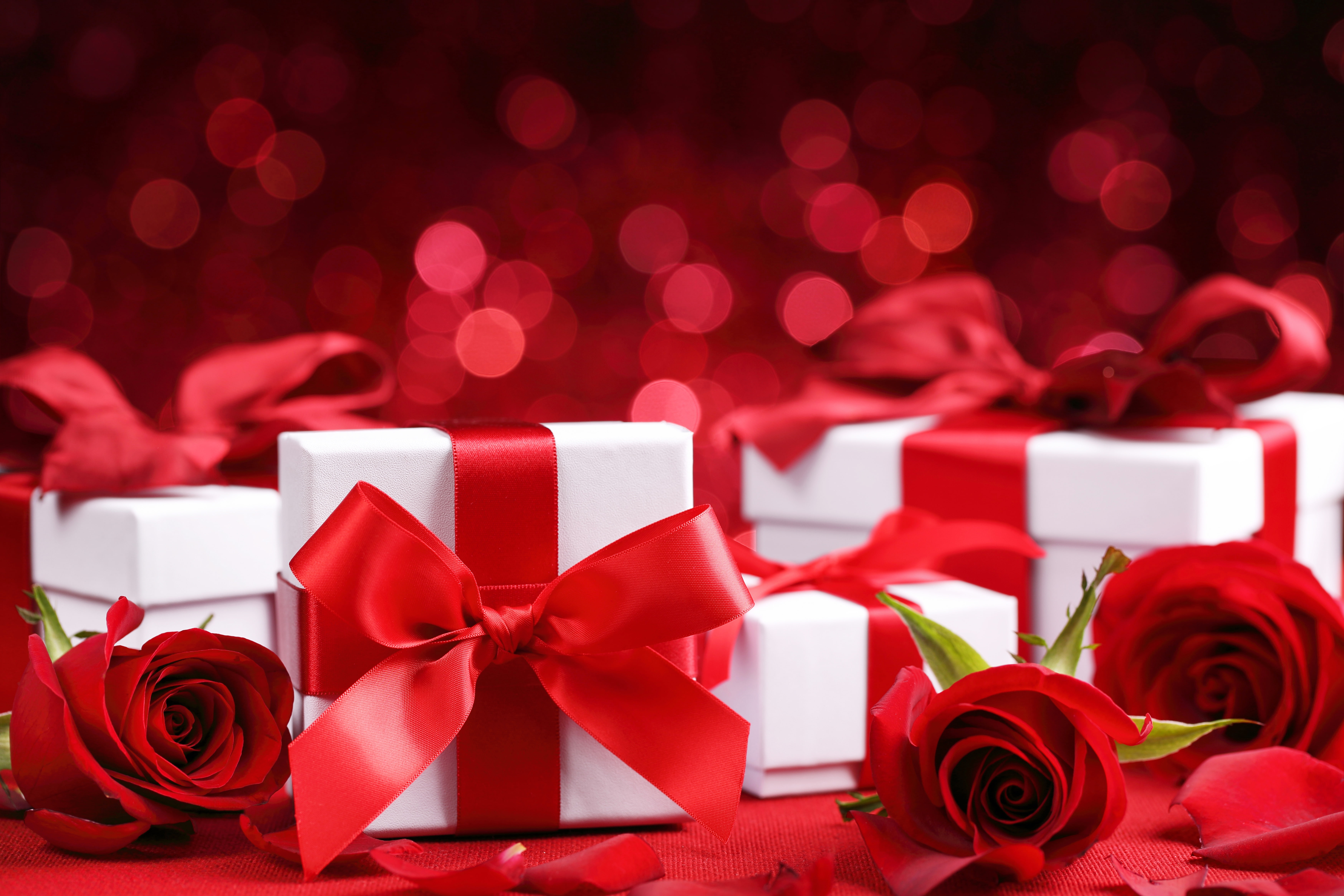 white, Valentine`s day, romance, roses, red, flowers, 5K, Valentines day, romantic, four, rose, gift, boxes, gifts, HD Wallpaper