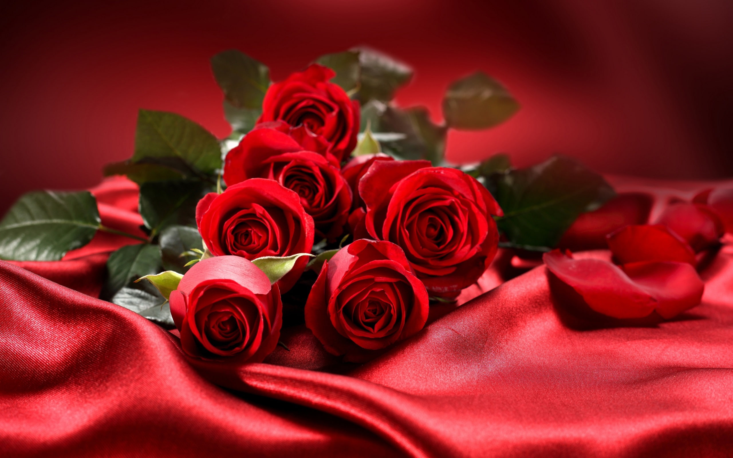 day, flowers, bouquet, roses, red, valentine, 2K, love, s, HD Wallpaper