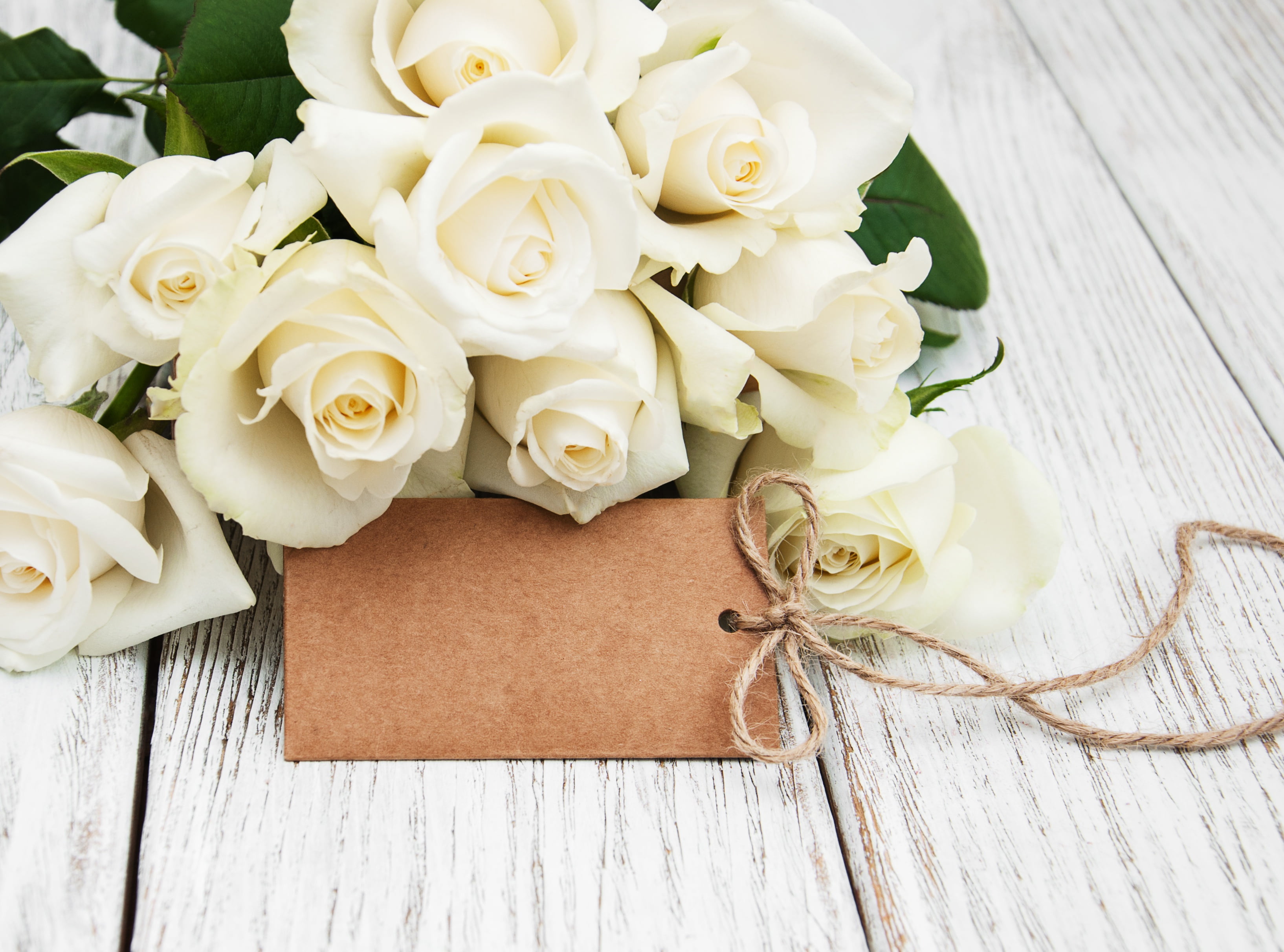 no people, fragility, flower arrangement, flower head, outdoors, 2K, wood - material, rose, celebration, close-up, nature, inflorescence, buds, freshness, HD Wallpaper