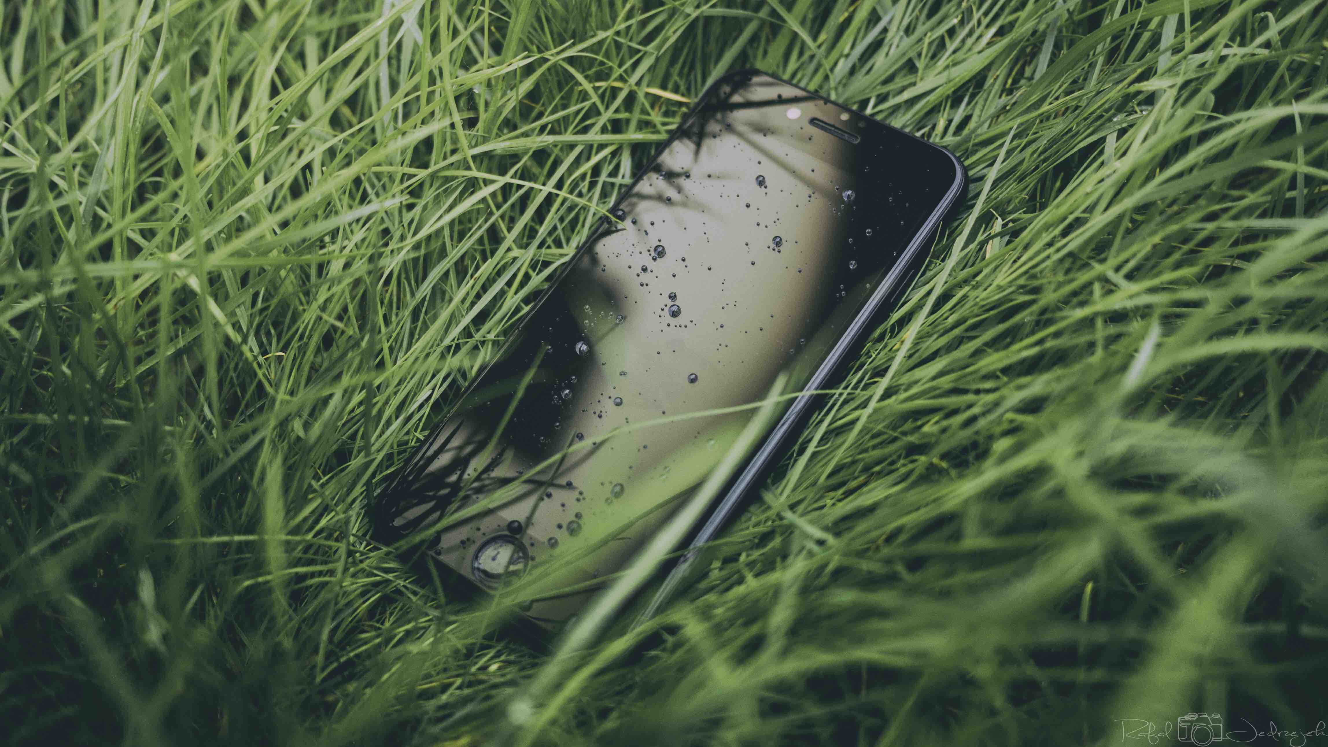 land, droplet, morning, selective focus, beauty in nature, grass, grass area, growth, close-up, man made object, makro, mobile, field, plant, green color, HD Wallpaper