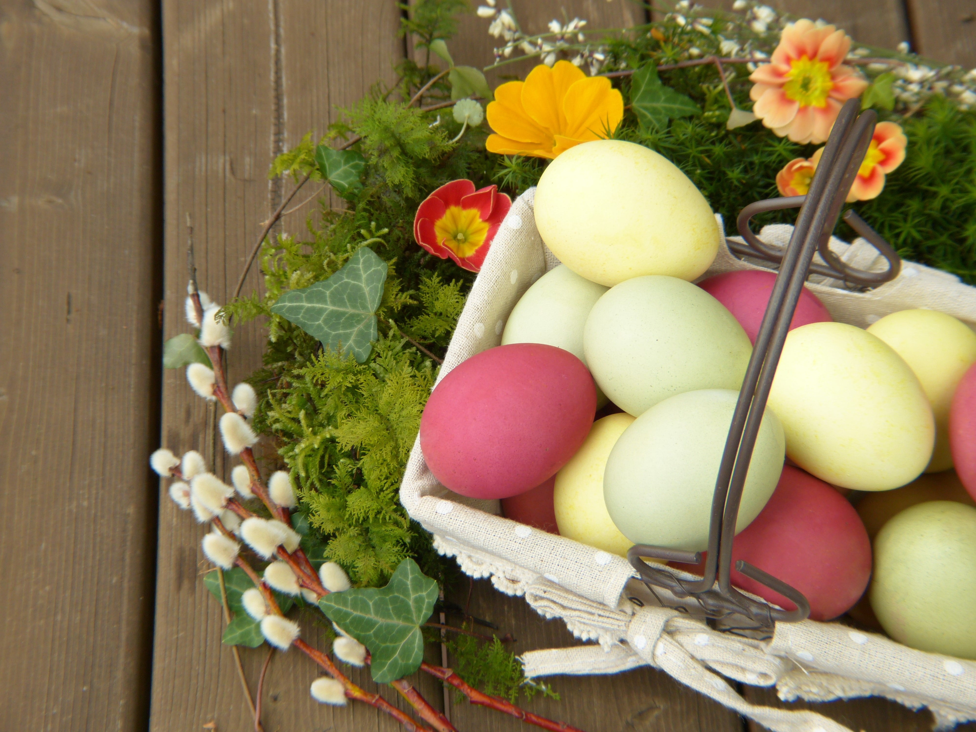 deco, indoors, gift, container, wood - Material, easter eggs, bio, egg, colors of nature, no people, invitation, easter greeting, fragility, flowering plant, HD Wallpaper