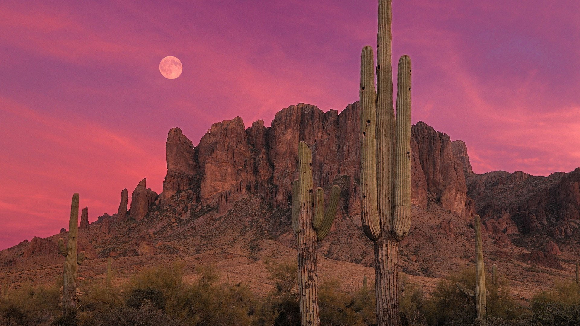 Cactus, Earth, Cloud, Night, 1080P, Moon, Sky, Mountain, Desert, Scenic, Landscape, HD Wallpaper