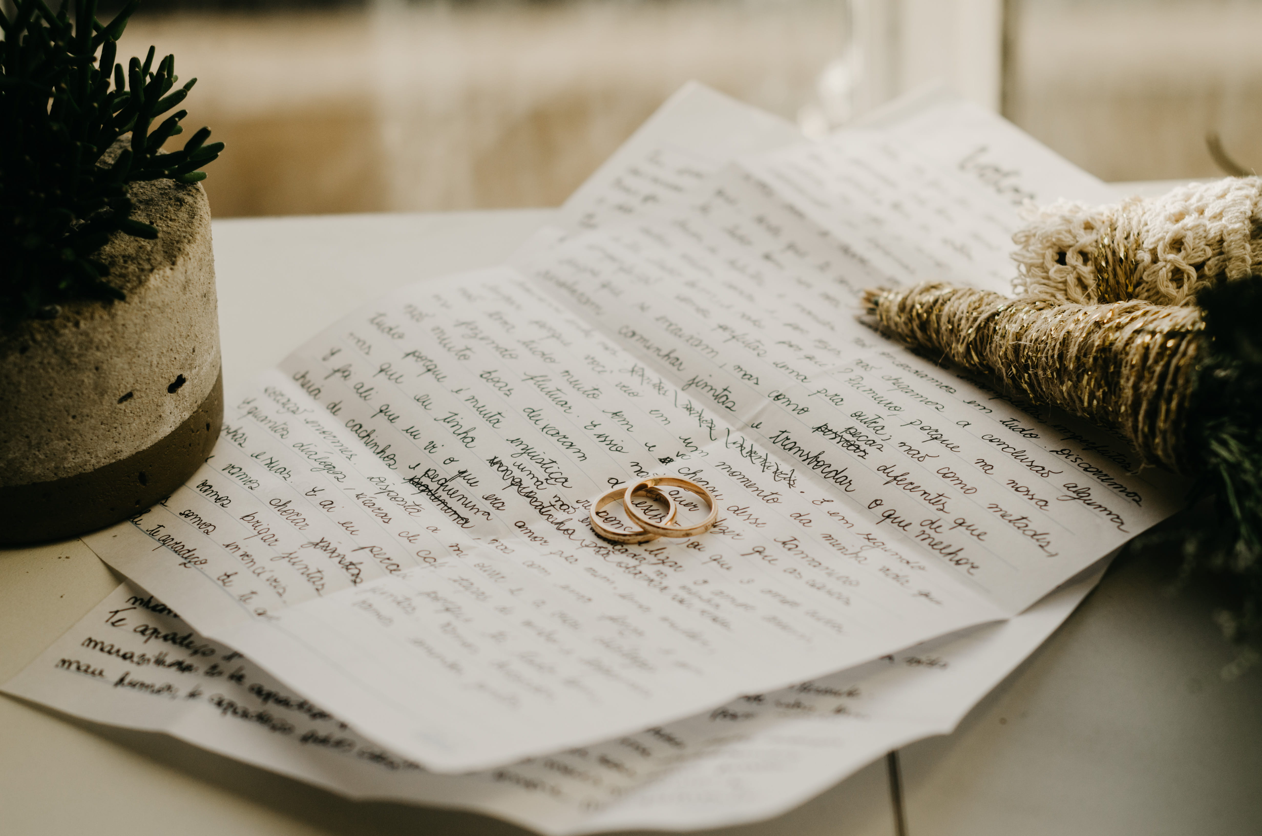 pine, table, document, conifer, publication, ring, potted plant, indoors, fence, diary, selective focus, sheet, palm tree, jar, expertise, close-up, vase, HD Wallpaper