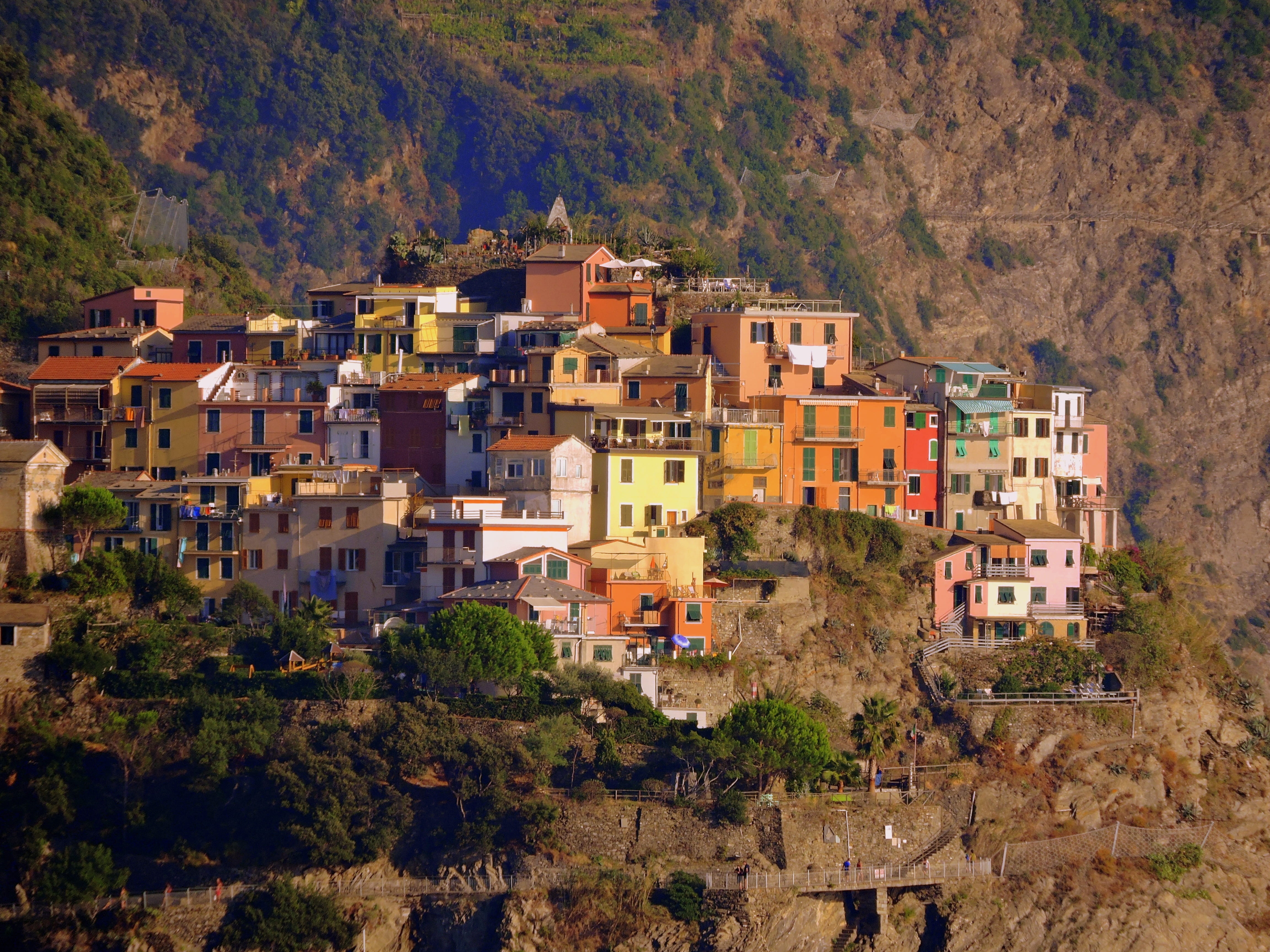 outdoors, high angle view, cinque terre, multi colored, land, residential district, mountain, green, tree, corniglia, townscape, colorful, city, no people, HD Wallpaper