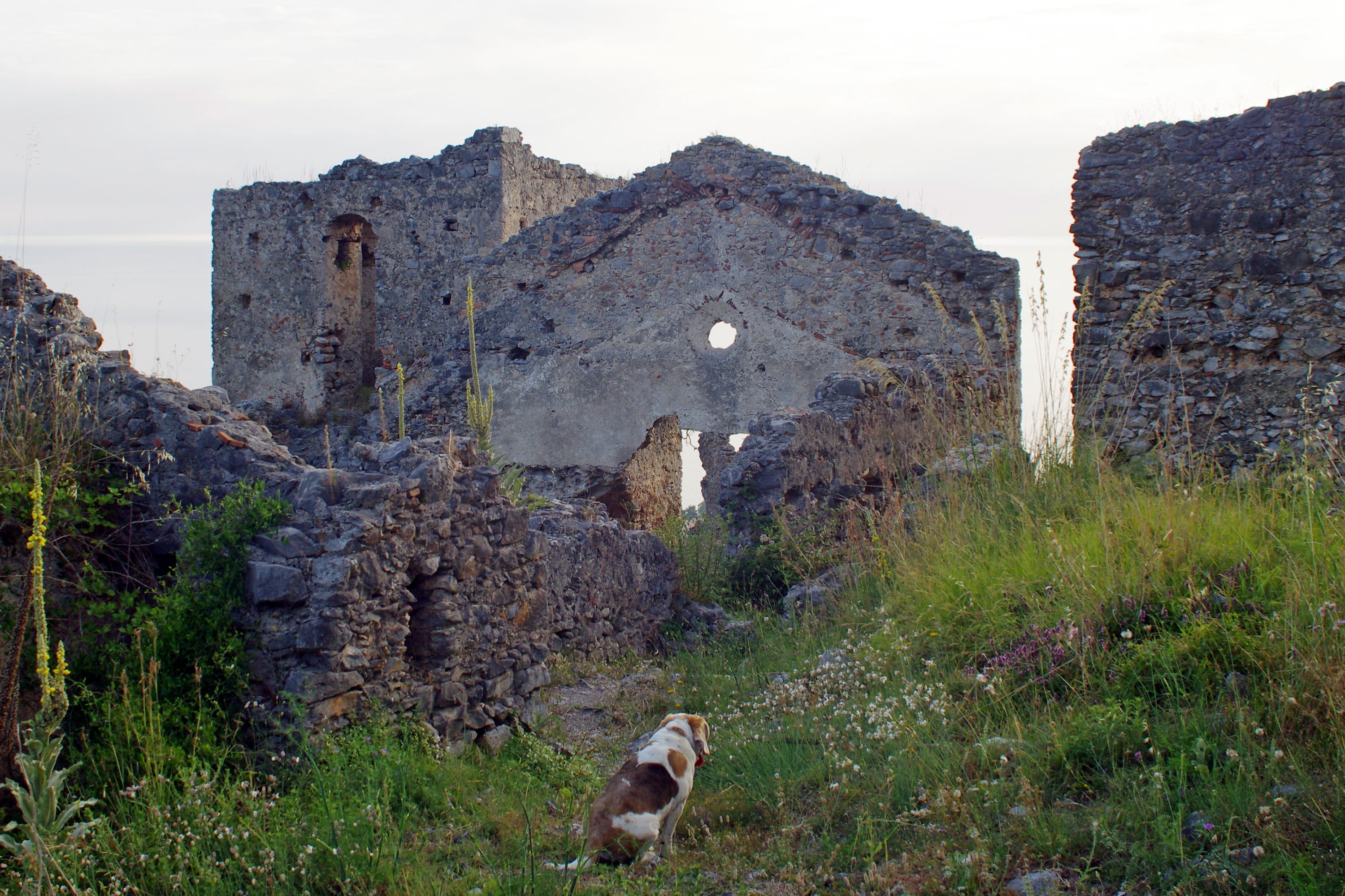 fort, sky, ancient civilization, Cirella, archeology, stone wall, deterioration, damaged, ruins of cirella, ruined, mammal, animal themes, outdoors, archaeology, HD Wallpaper
