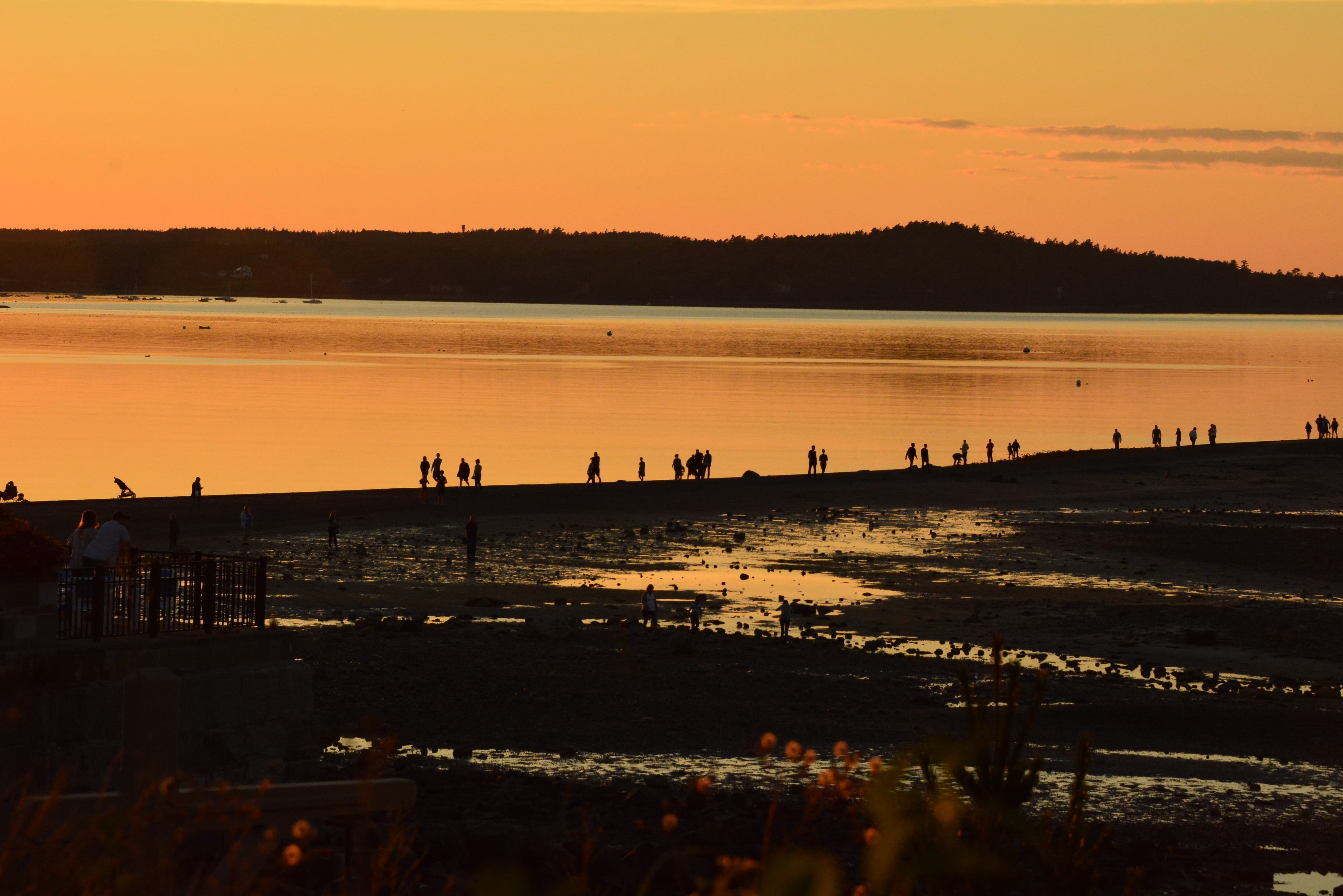 tide out at sunset, silhouette, bar, tranquility, tide, maine, harbor, sunset, lake, no people, idyllic, nature, photo, cloud - sky, reflection, water line, HD Wallpaper