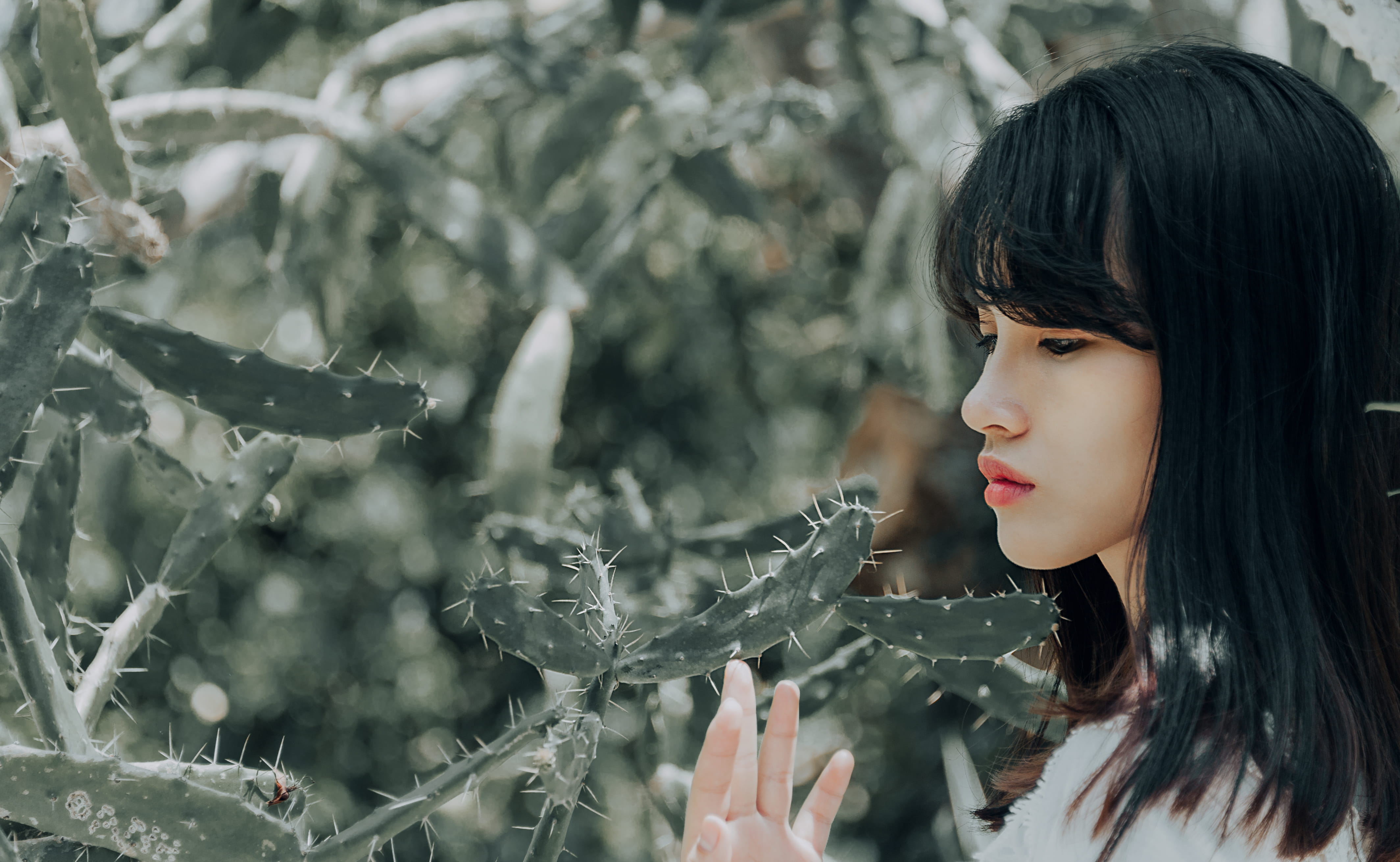 focus on foreground, one person, portrait, female, beautiful woman, beauty, beauty in nature, person, blurred background, hairstyle, photo, daytime, young women, HD Wallpaper