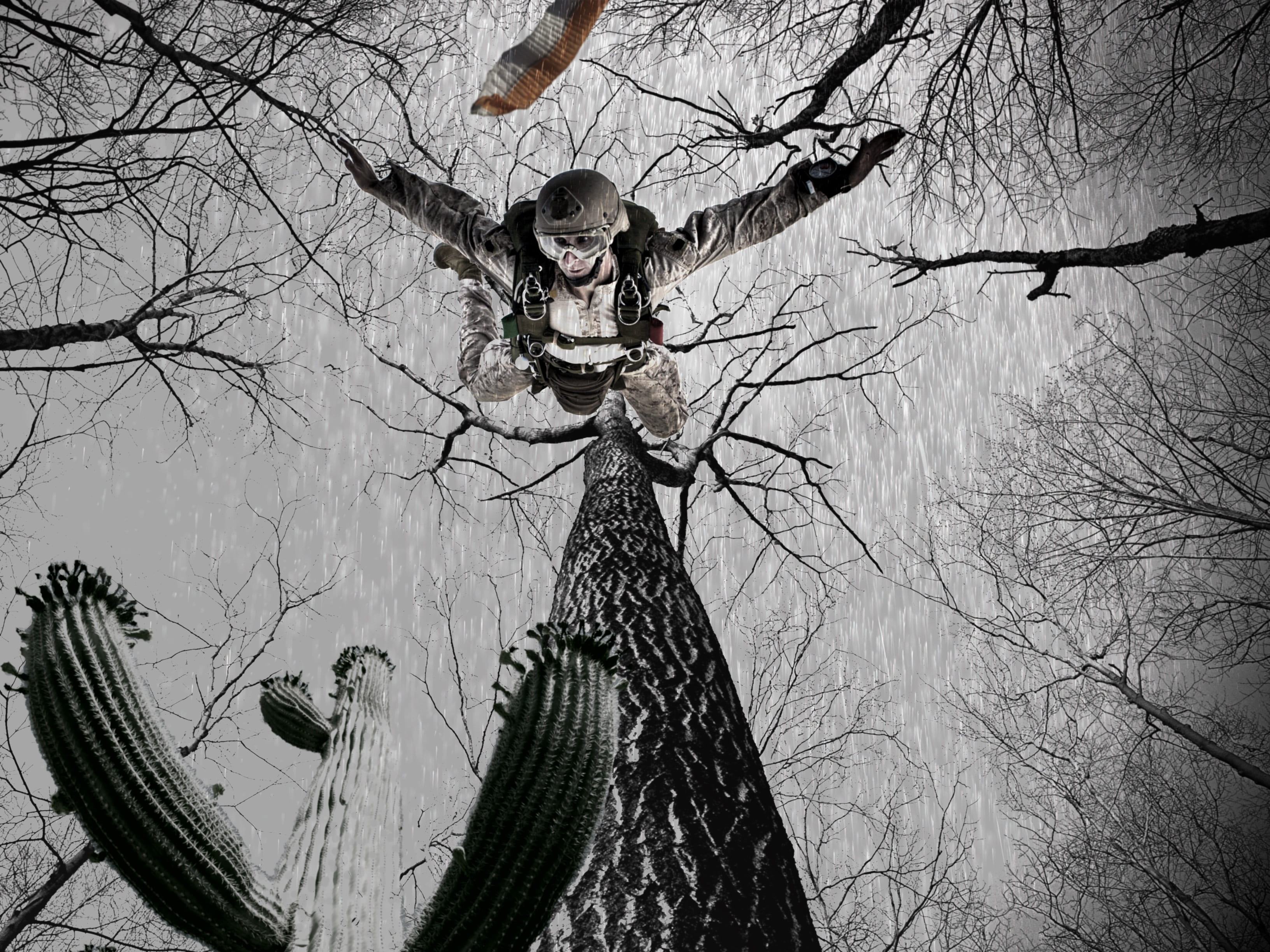 flight, plant, outdoors, composing, branch, risk, land, case, nature, no people, mood, landing, photo montage, tree trunk, forest, 2K, parachute, low angle view, HD Wallpaper