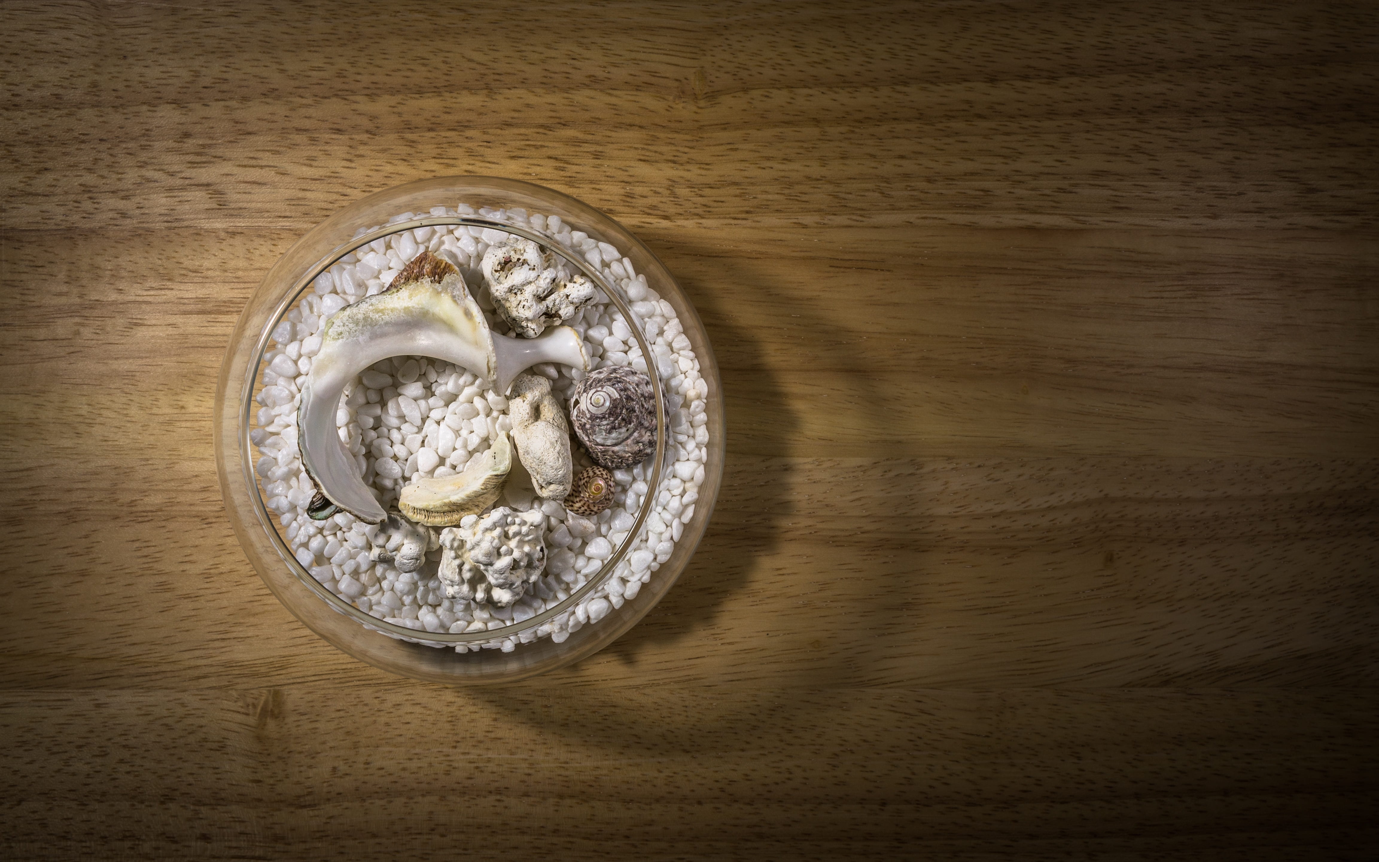 single object, stone, gravel, fish tank, freshness, shells, indulgence, high angle view, wood grain, plan interior, wellbeing, transparency, table, ornament, HD Wallpaper