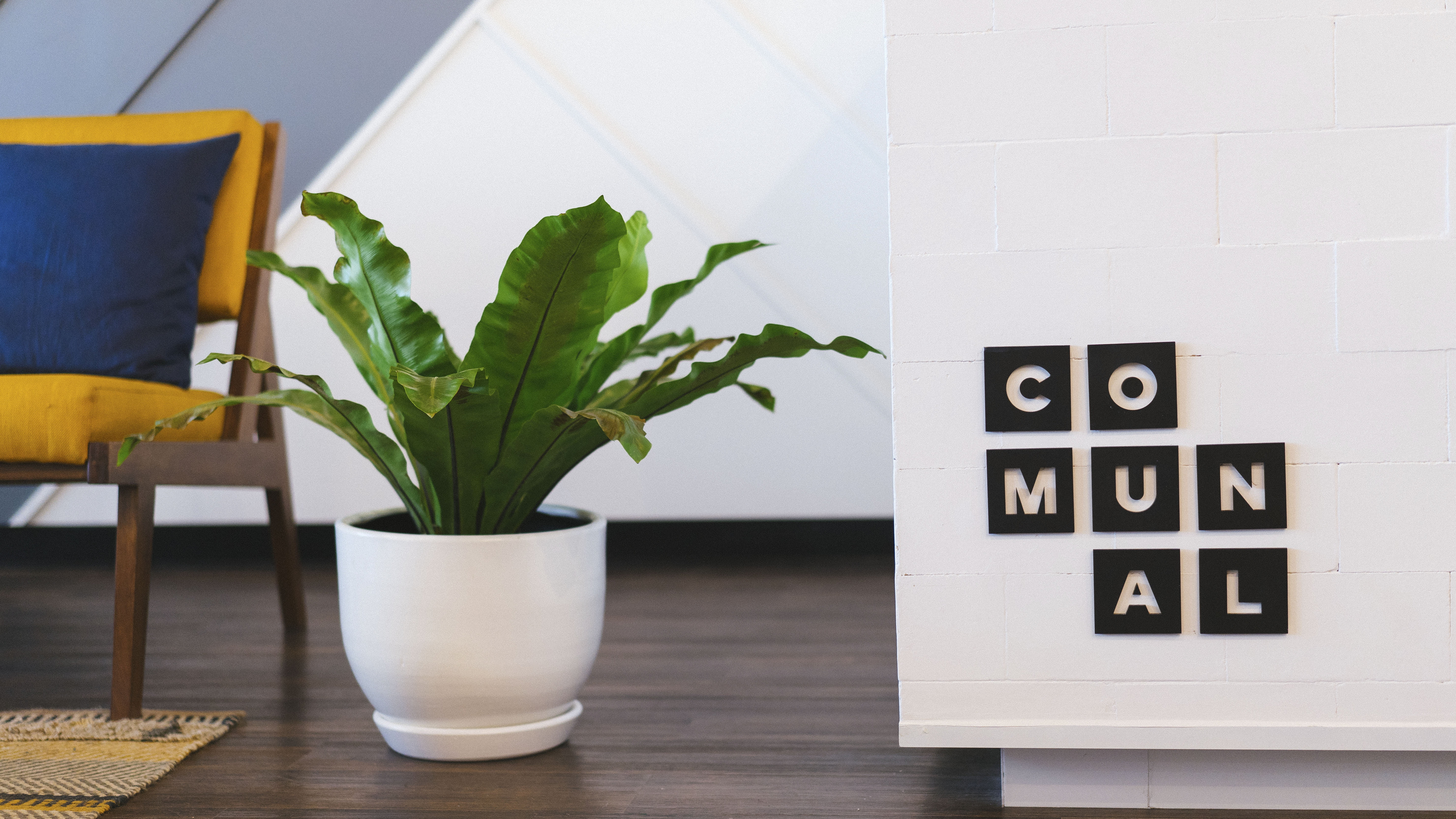 plant part, number, design, communication, indoors, decoration, interior, plant, living, houseplant, pot, home interior, green, potted plant, pillow, nature, HD Wallpaper