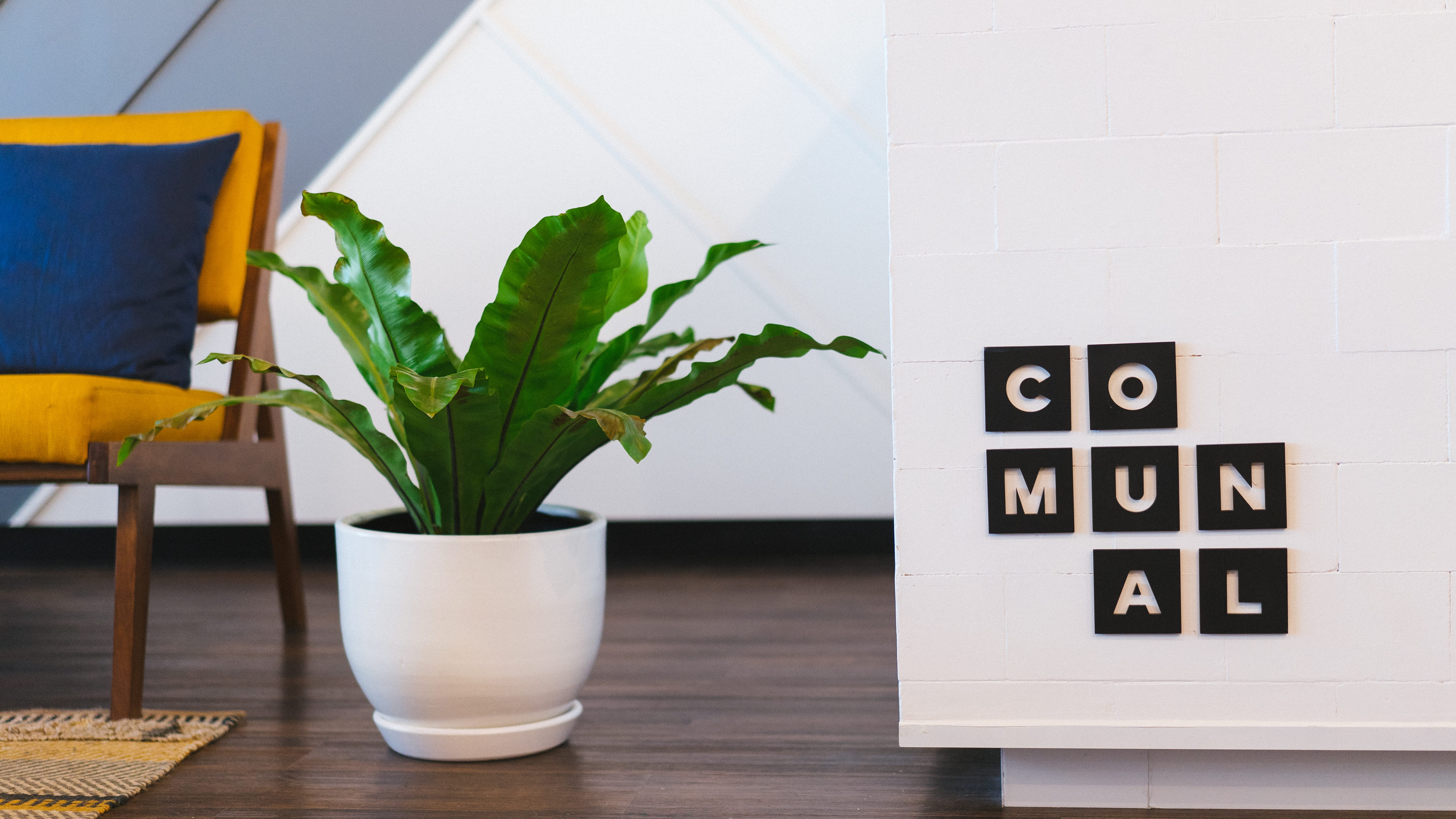 modern, bright, work, room, leaf, beside, houseplant, remote, leafed, technology, chair, inside, white, plant part, home, wall - building feature, furniture, HD Wallpaper