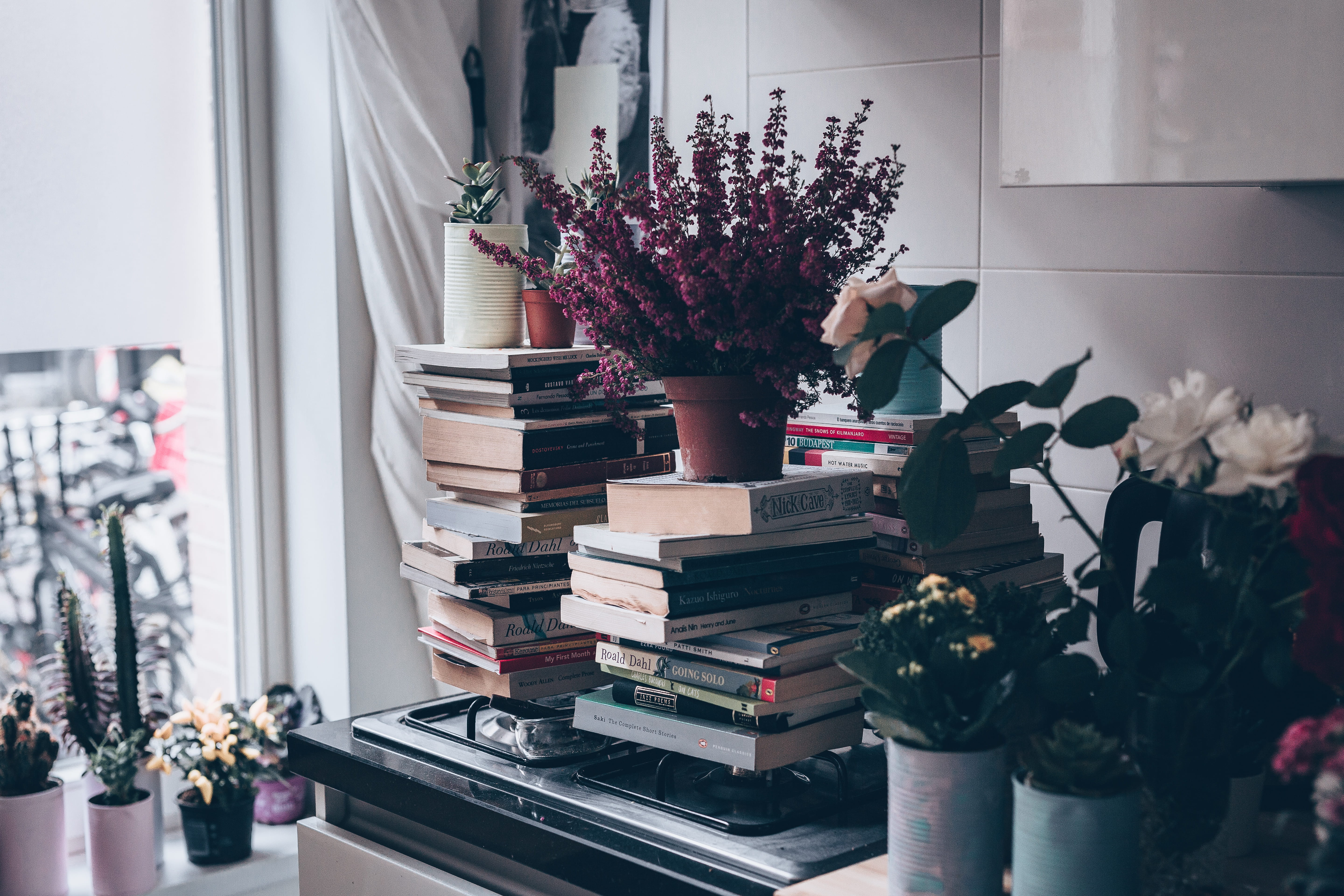 window, human representation, 5K, plants, flowers, representation, indoors, choice, retail display, light, nature, books, amsterdam, netherlands, business, HD Wallpaper