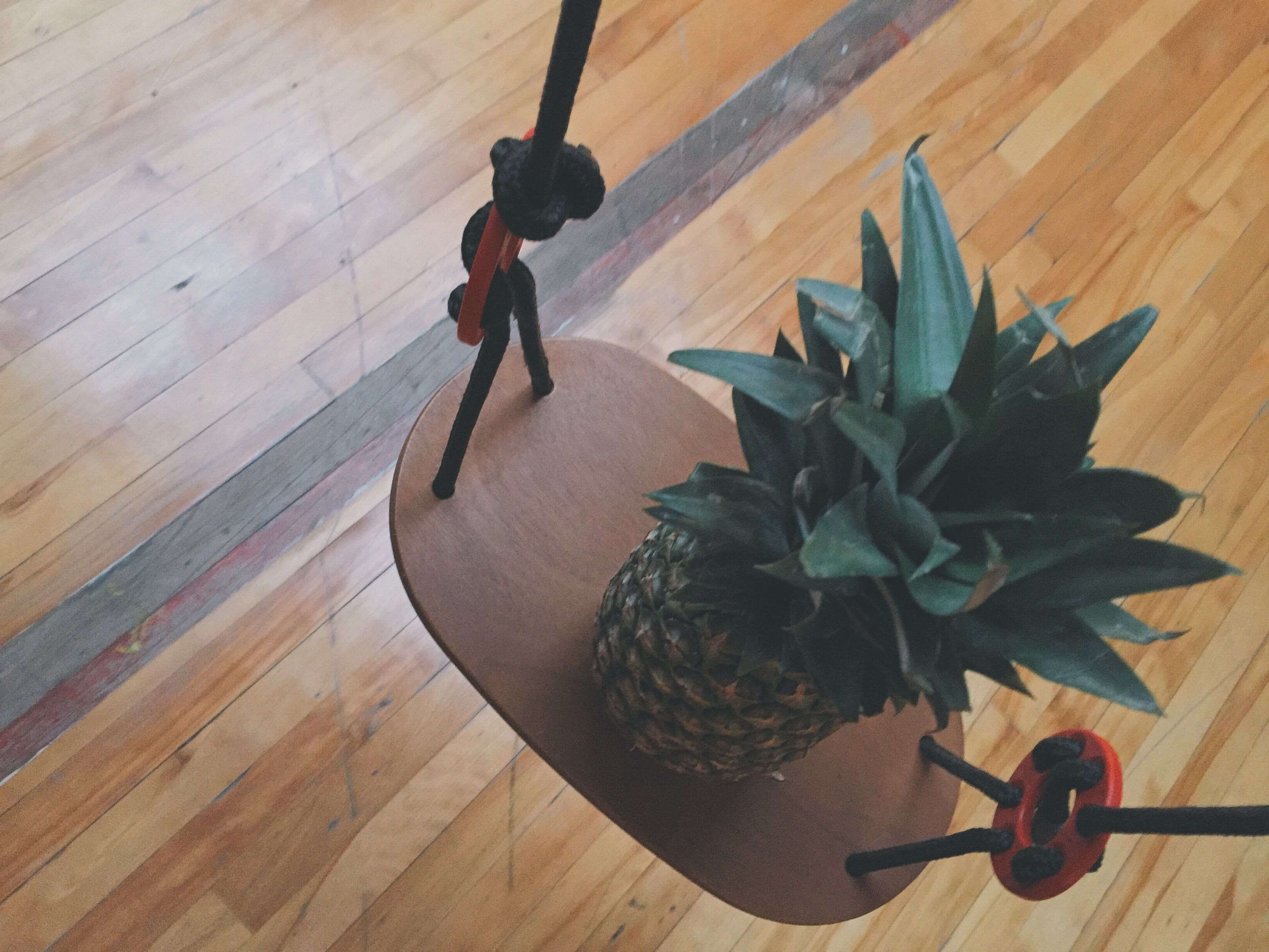 room, flooring, bamboo, family, retro, plant part, plant, leaf, succulent plant, still life, health, people, pineapple, flowering plant, high angle view, HD Wallpaper