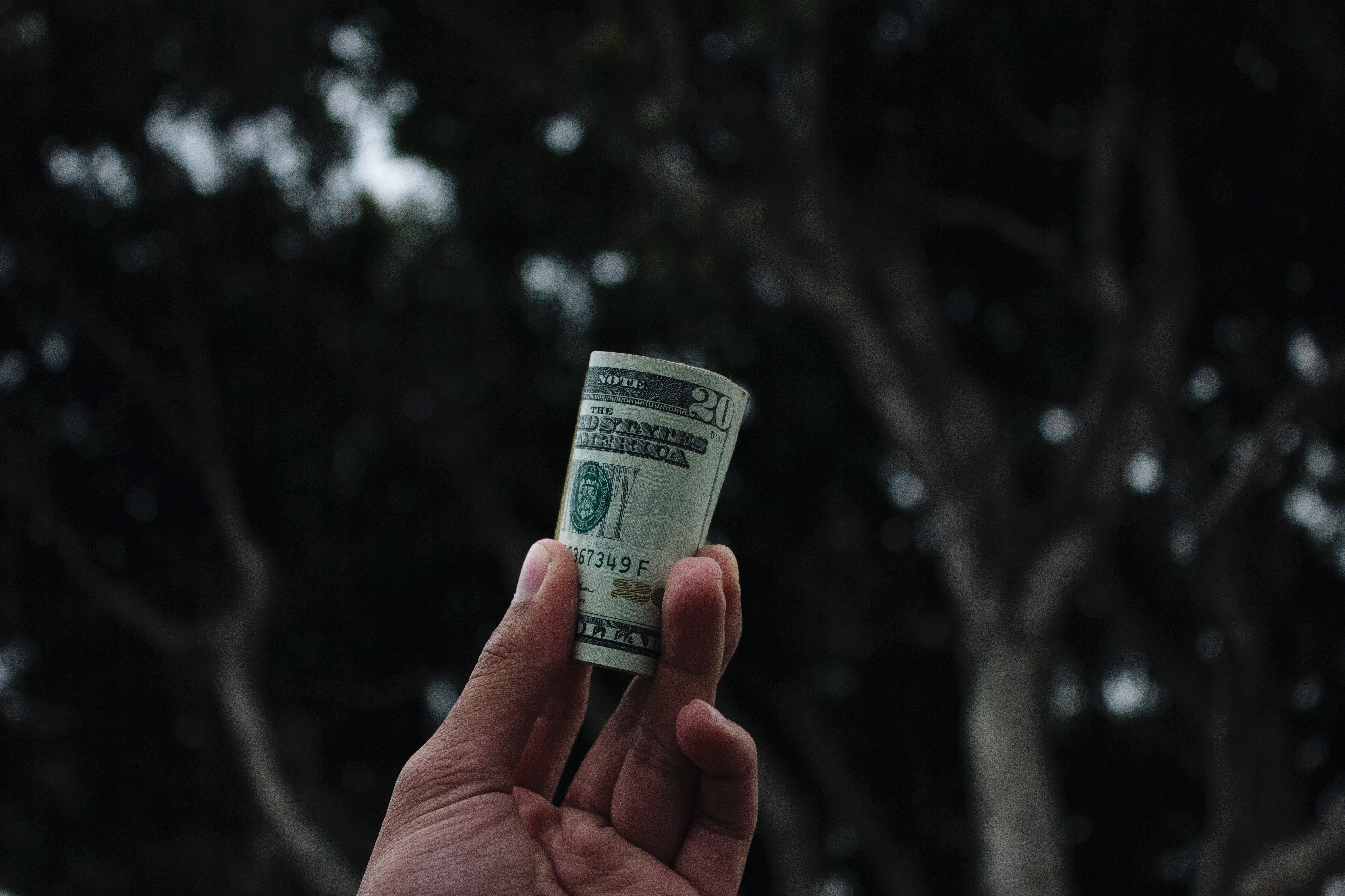 business, bill, finance, adult, wealth, hand, plant, tree, 5K, unrecognizable person, economy, paper currency, focus on foreground, dark, body part, holding, HD Wallpaper