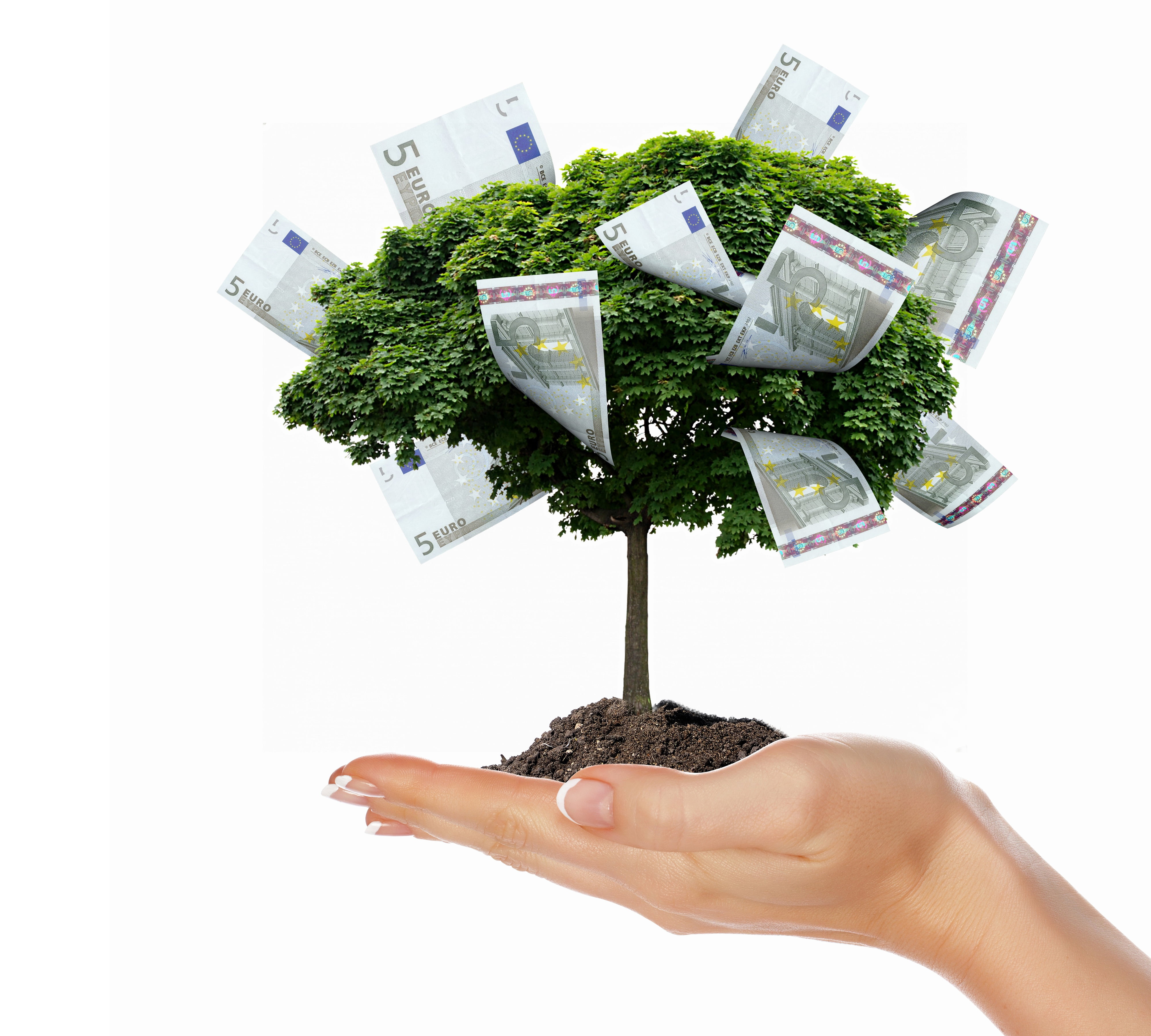 creative, 4K, TREE, MONEY, HD Wallpaper